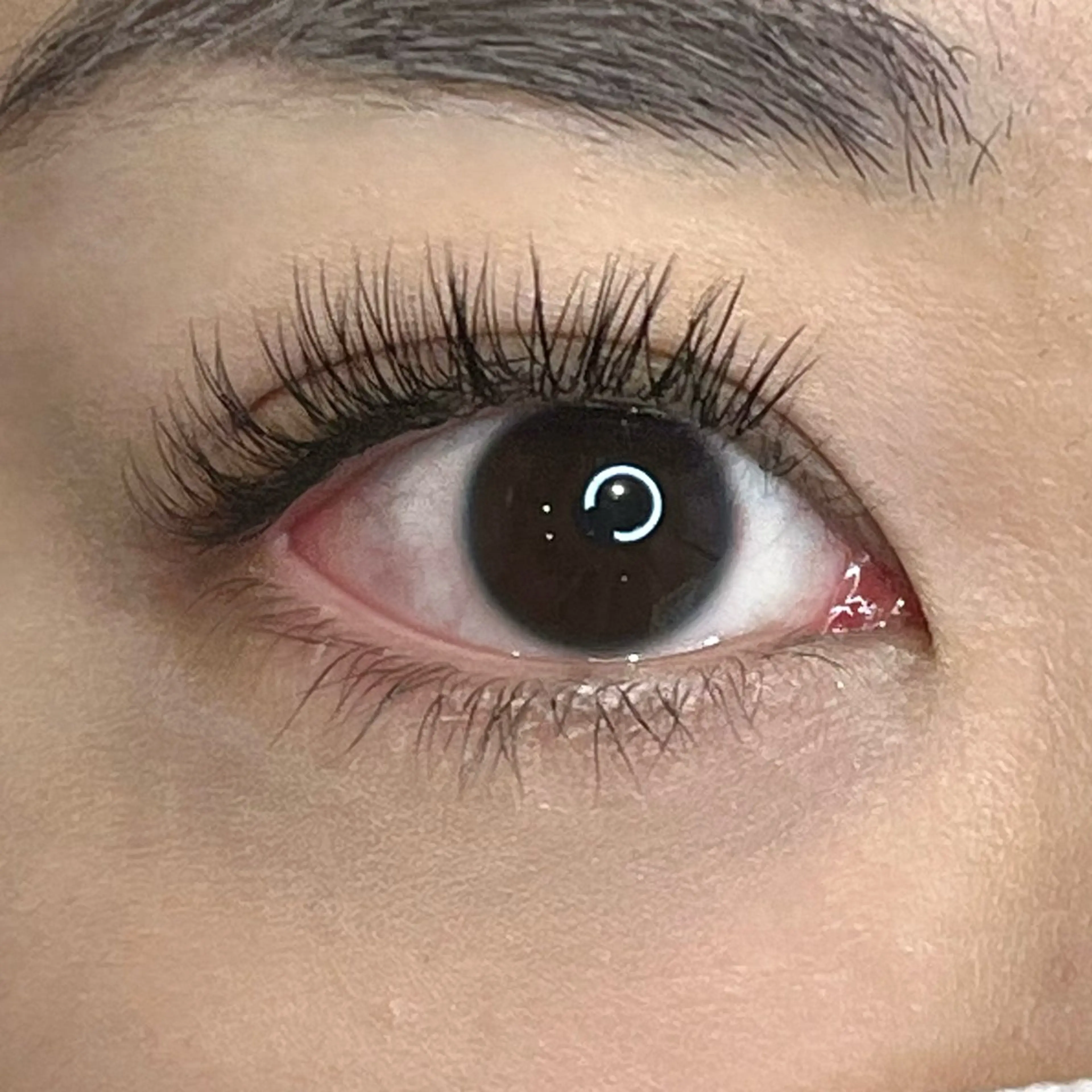 マツエク・マツパ Cカール キュート narumi .のマツエク・マツパデザイン