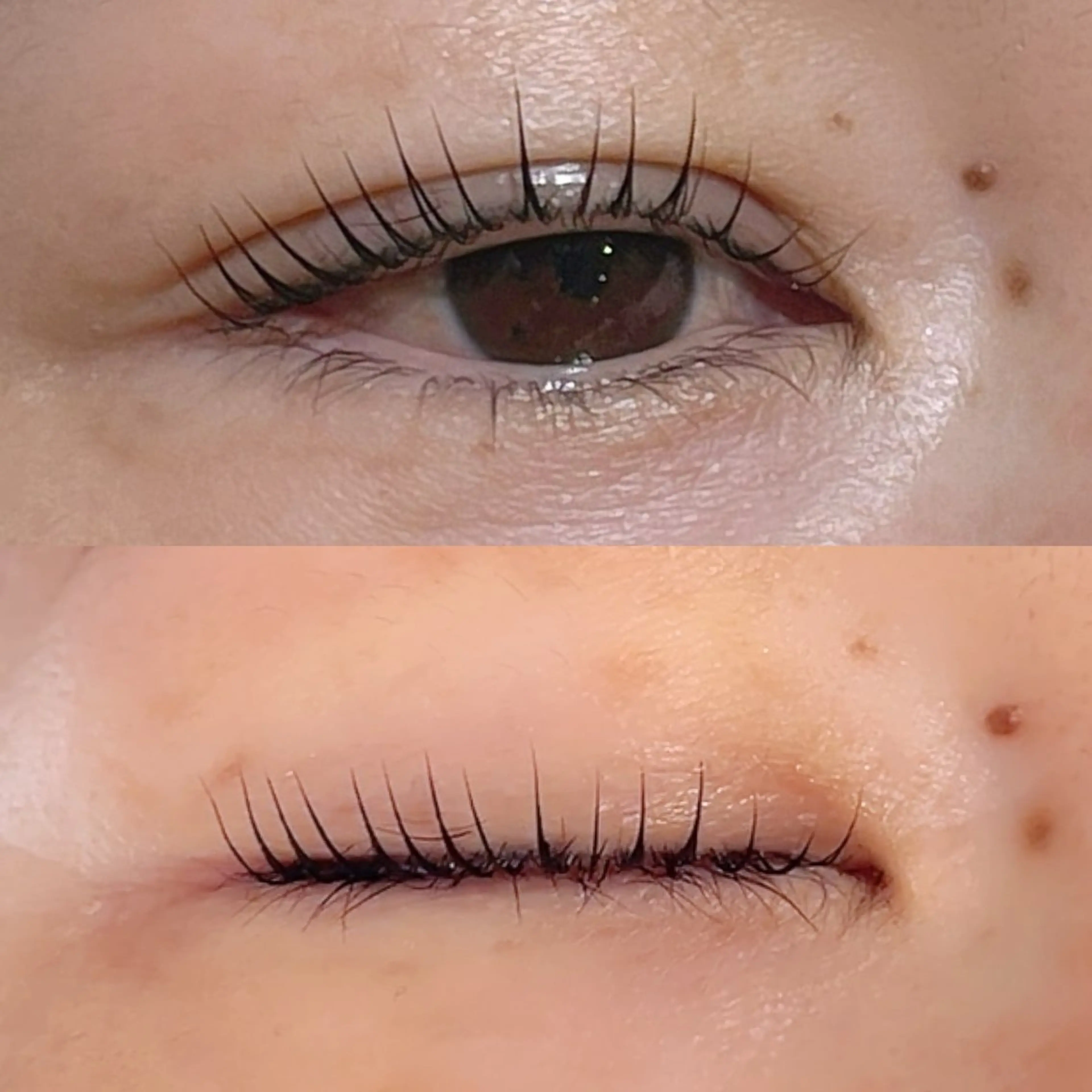 マツエク・マツパ EARTH土浦 菊地のマツエク・マツパデザイン