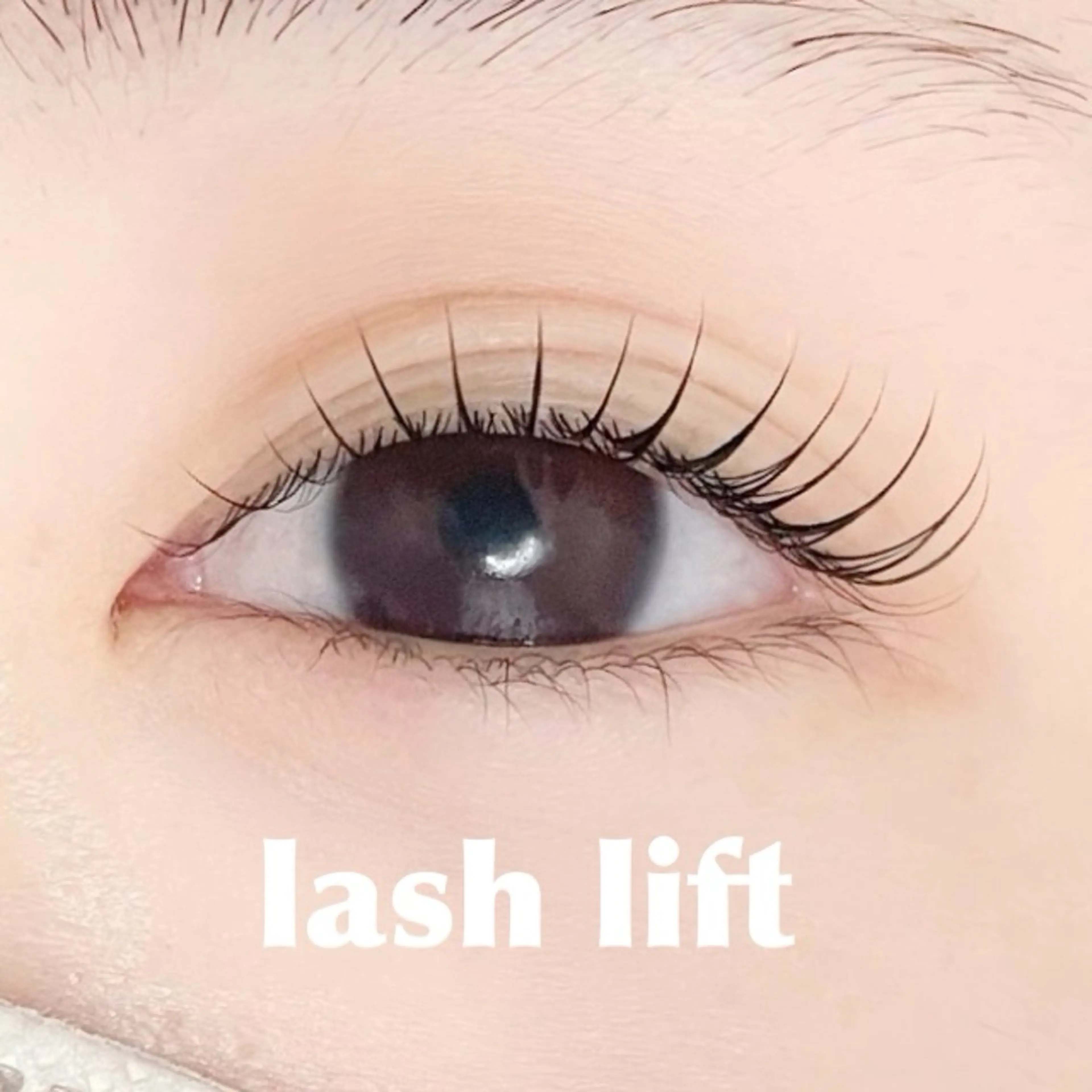 🫧3stepトリートメント付き🕊まつげパーマ¥5500→¥5000（束感仕上げ可能♪）の写真