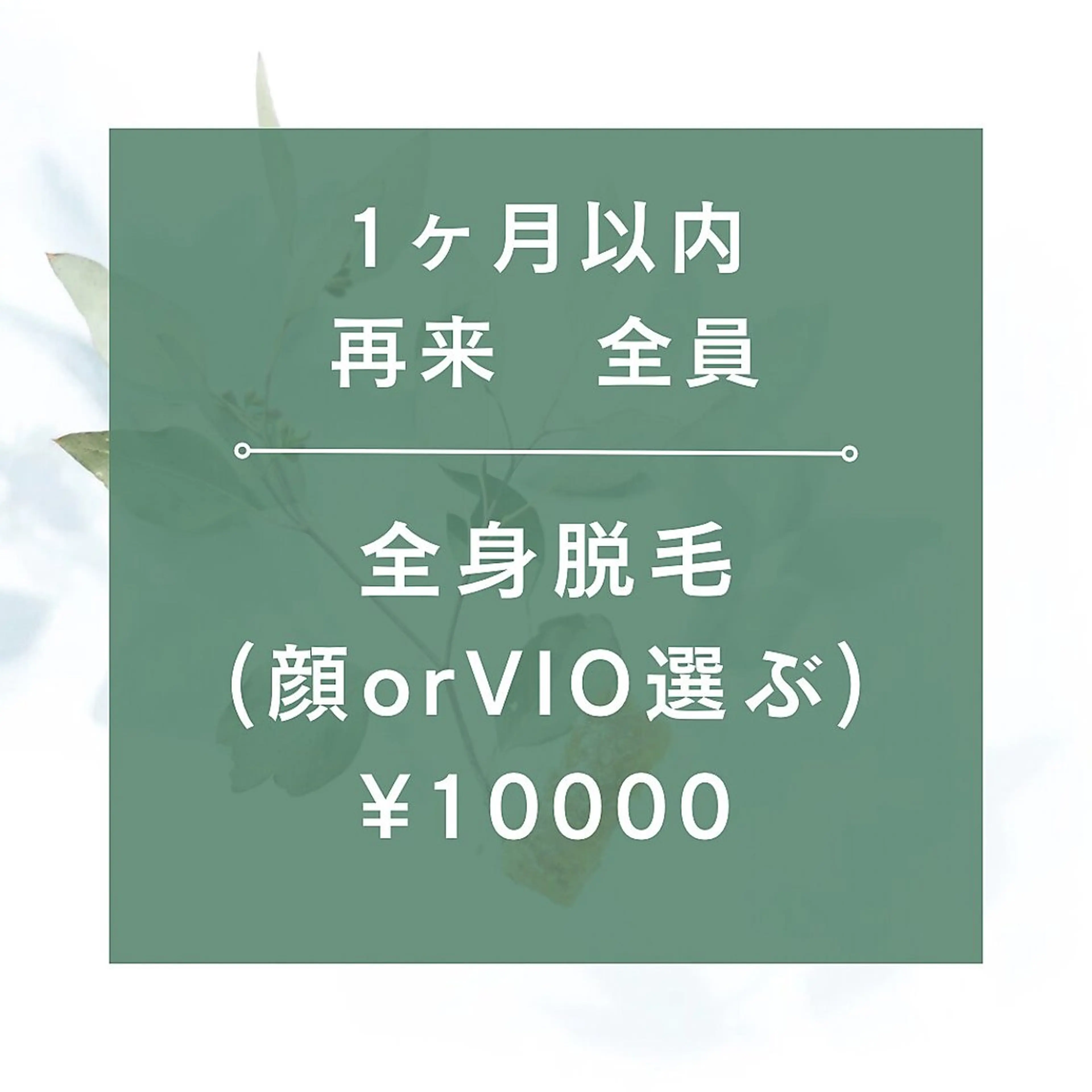 【1ヶ月以内再来の方限定】全身脱毛（顔orVIO）¥10000/90分の写真