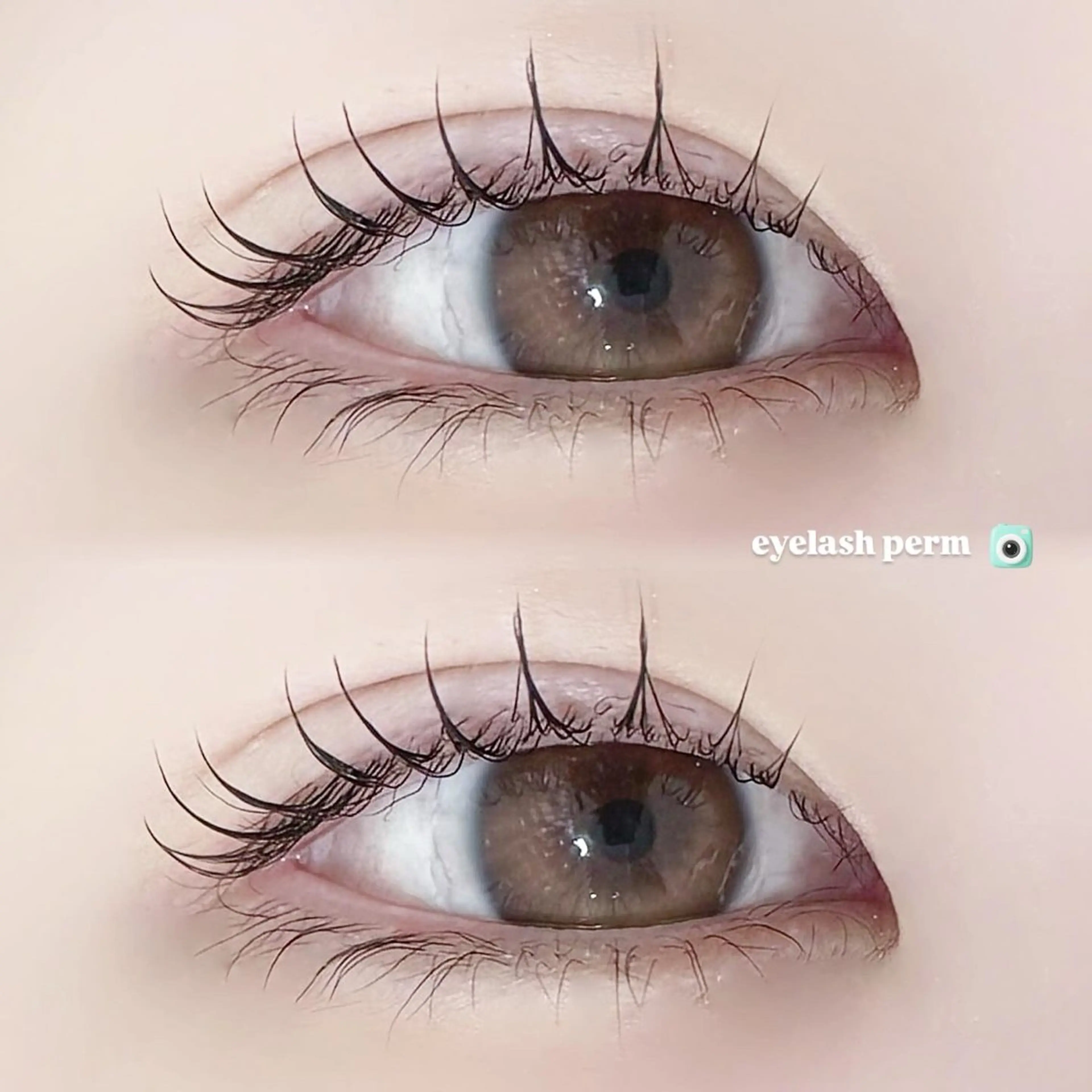 マツエク・マツパ まつげパーマ マツパ kanoha 🦖⋆͛のマツエク・マツパデザイン