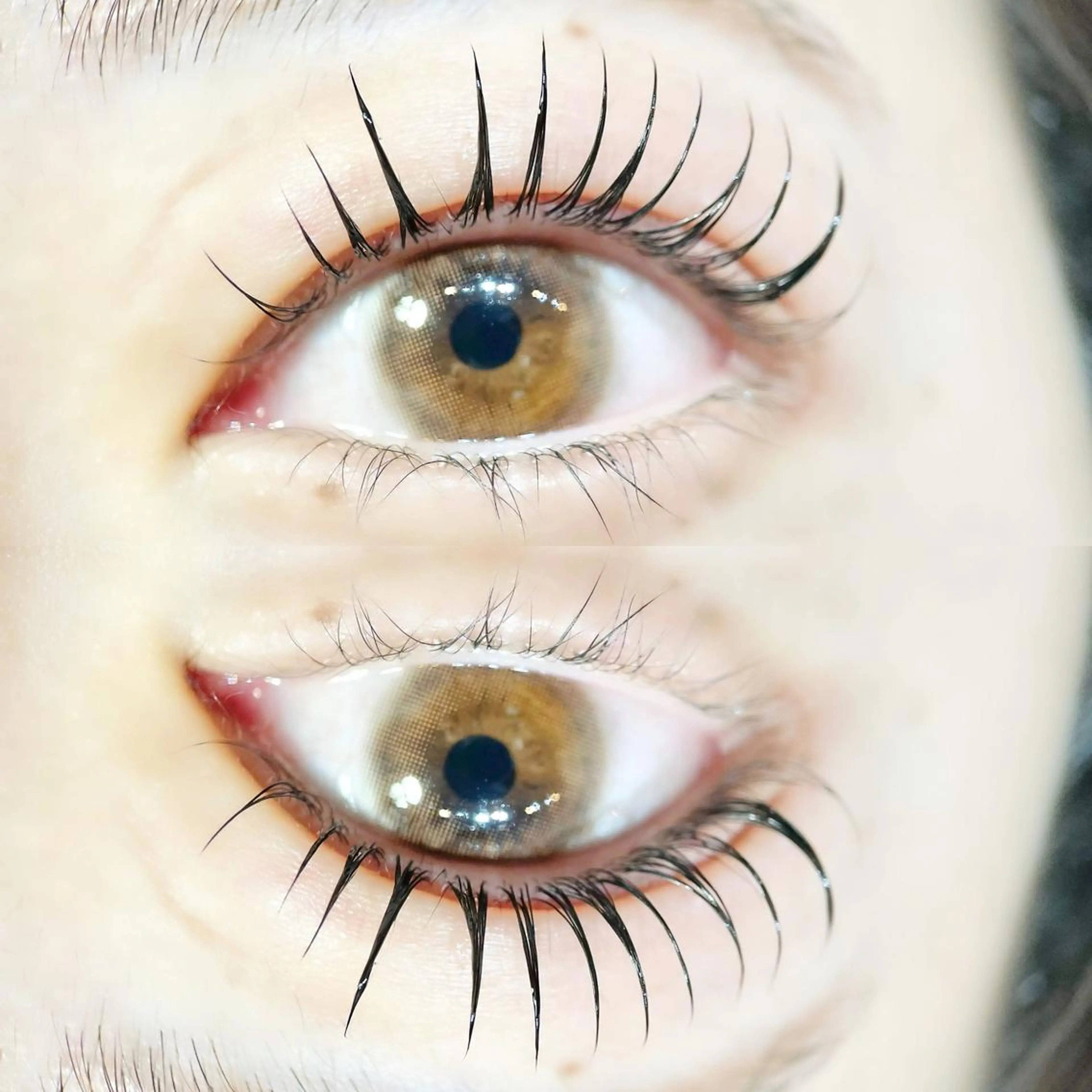 マツエク・マツパ まつげパーマ KAFU jiyugaoka  カフー自由が丘所属・まつげ/眉毛KAFU カフー　自由が丘店のマツエク・マツパデザイン