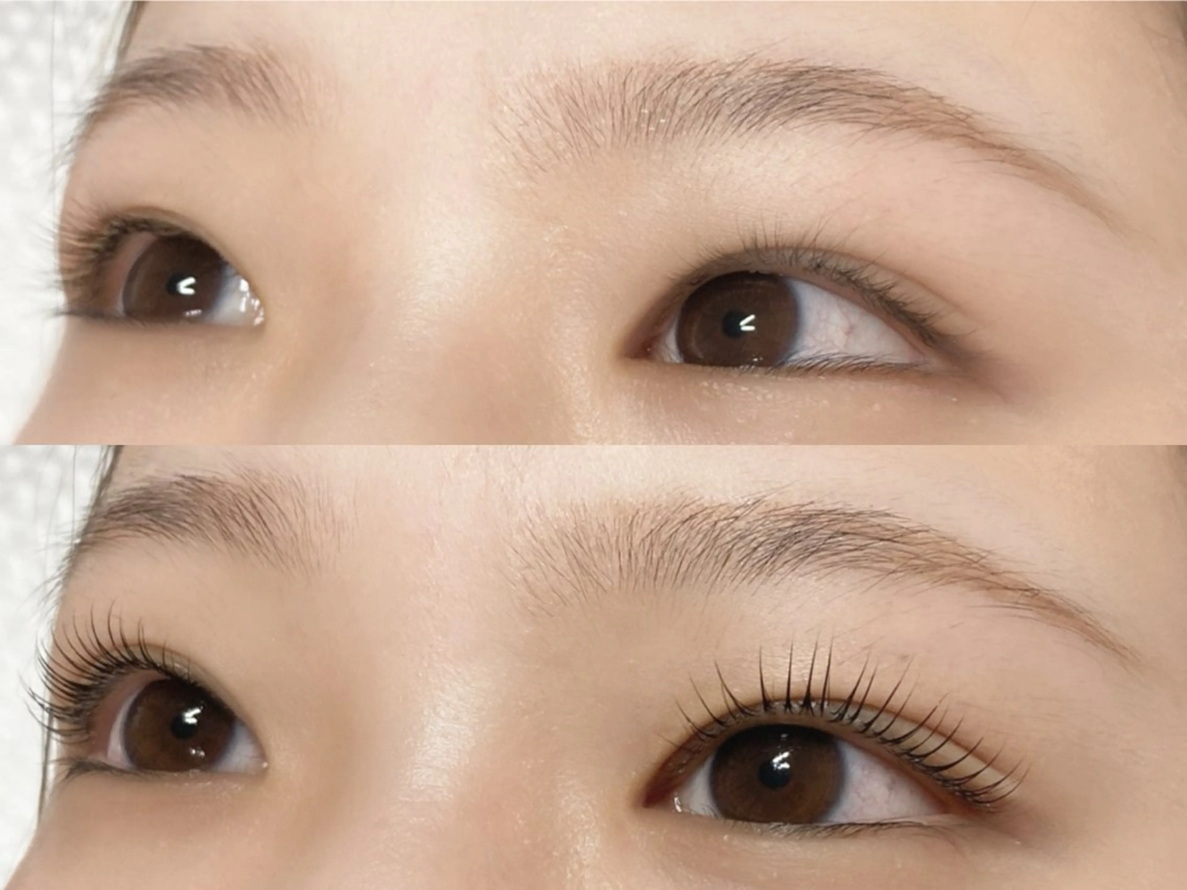 マツエク・マツパ マツパ Lashure CHITOSEのマツエク・マツパデザイン