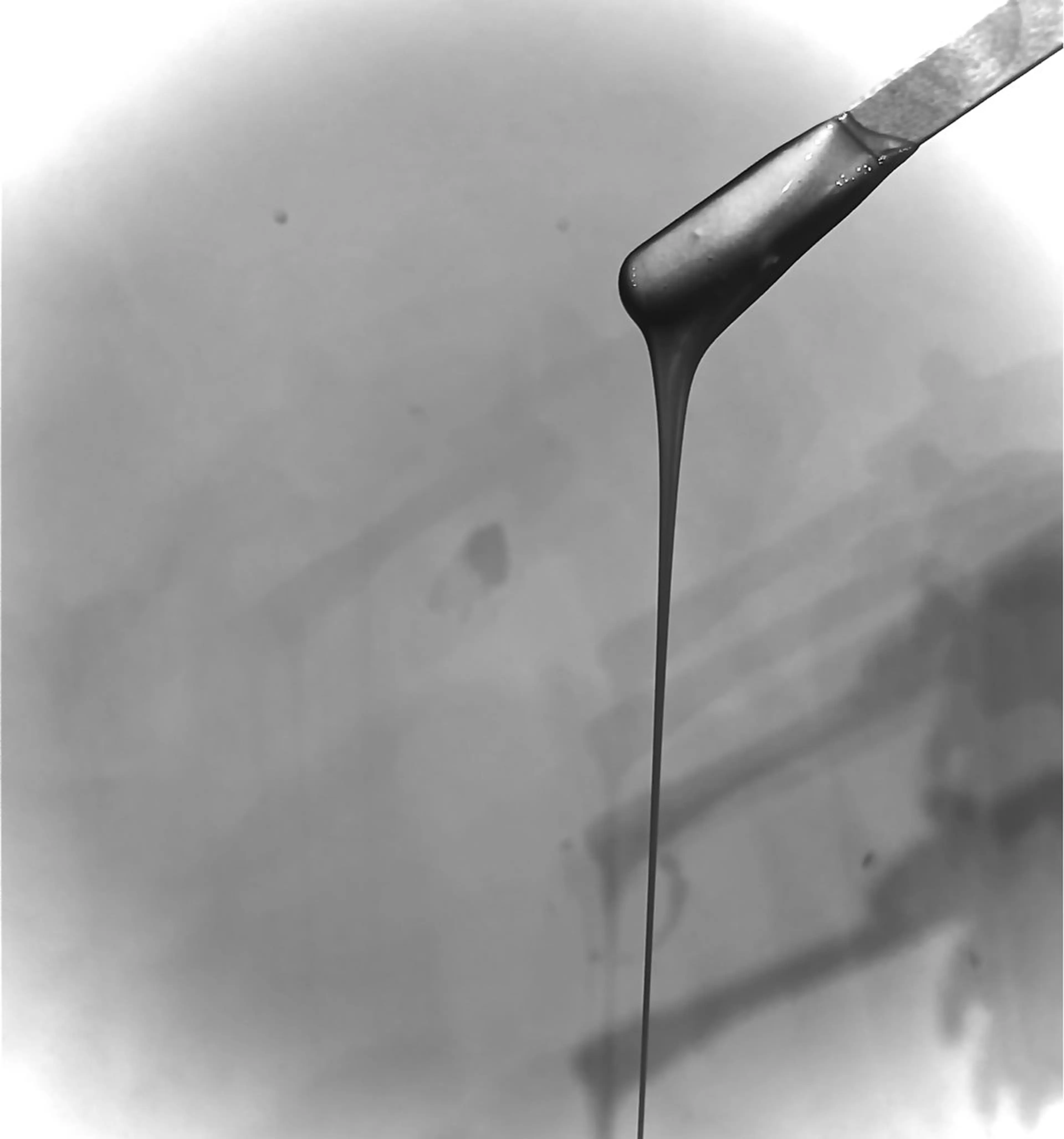 アイブロウWAXのみの写真