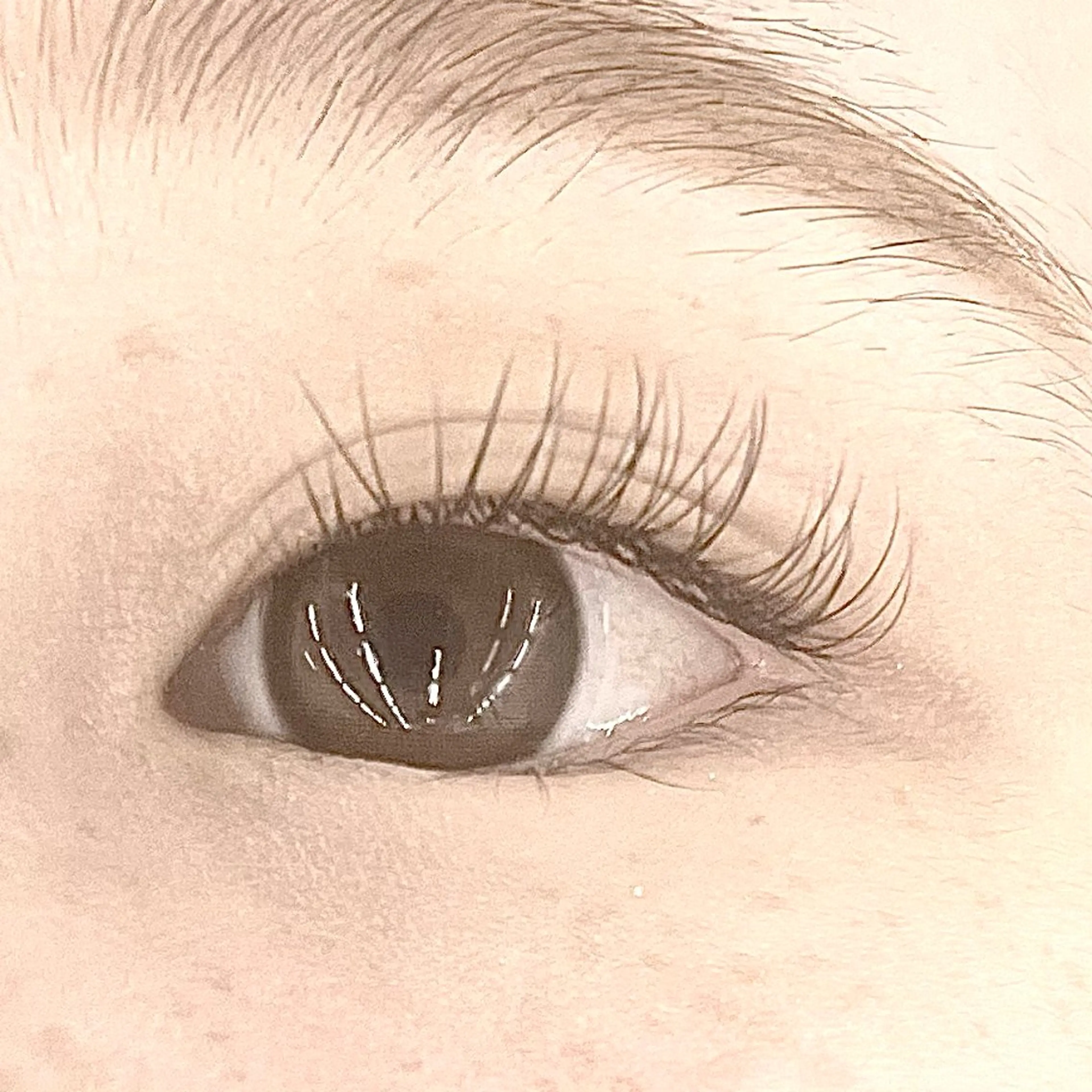 マツエク・マツパ Eyelash 大阪梅田 MAXKELLY【アイラッシュ ウメダ マックスケリー】所属・🦋maxkelly .mizuki🦋のマツエク・マツパデザイン