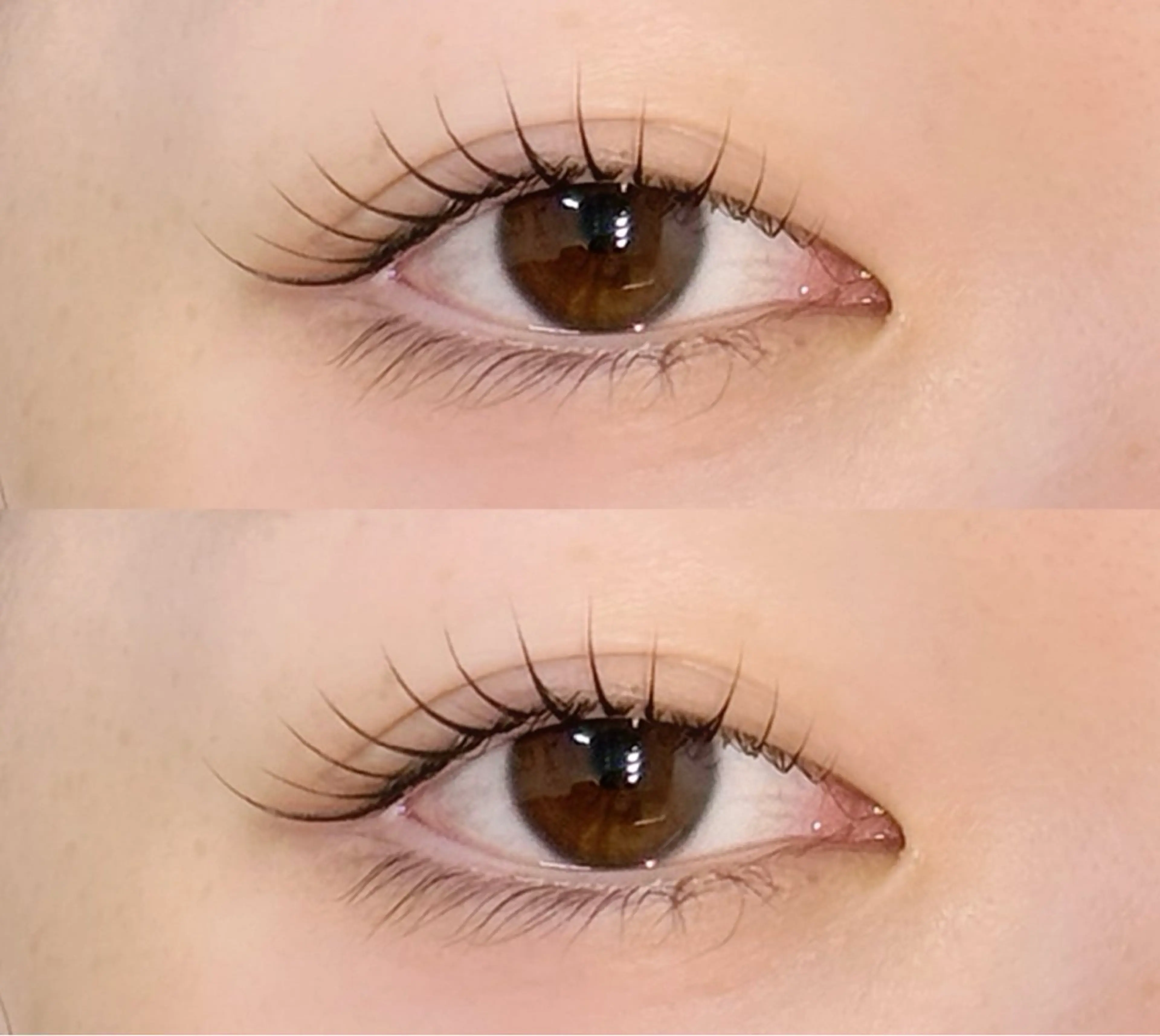 🫧似合わせまつ毛パーマ🫧の写真