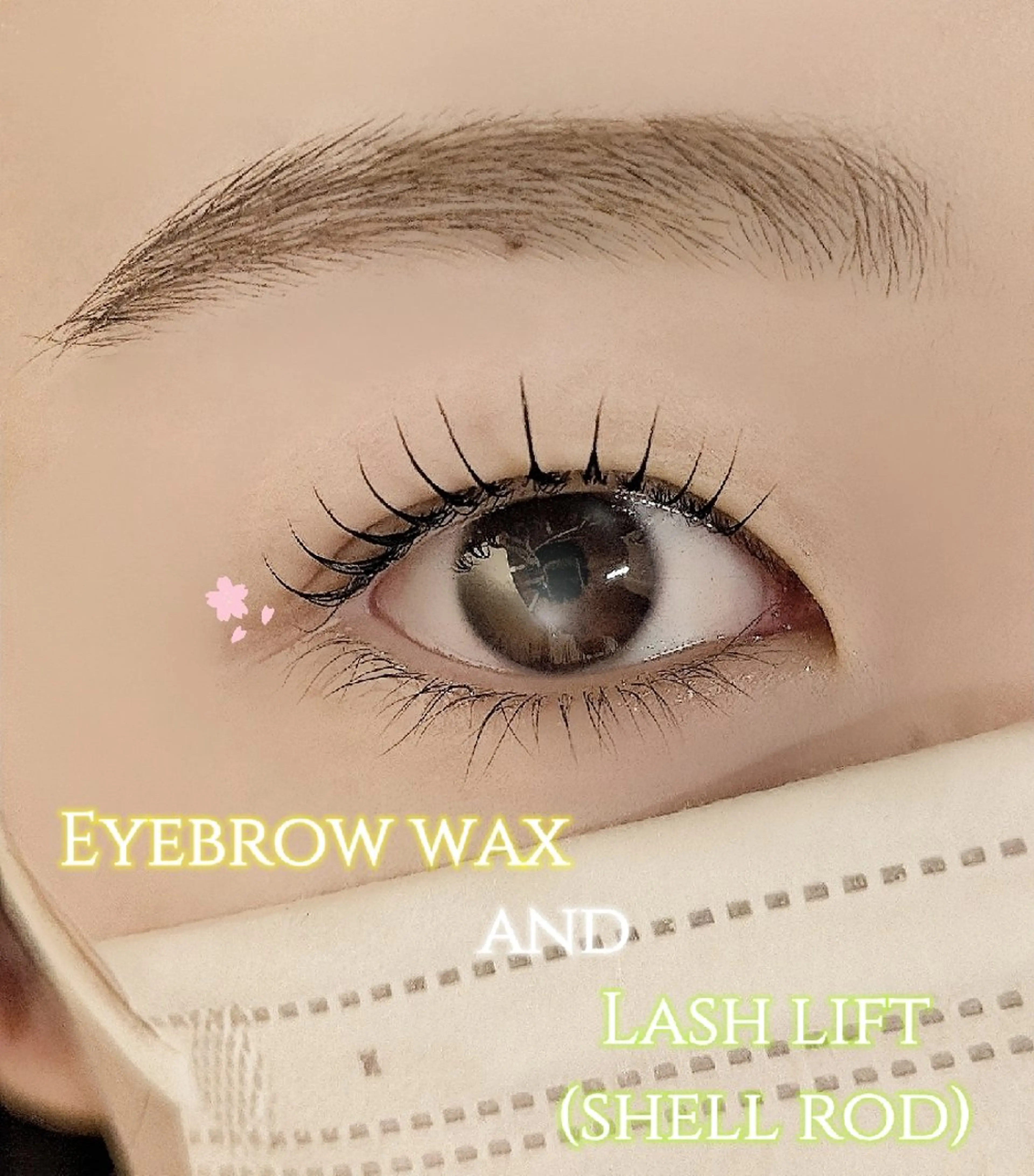 アイブロウ 眉毛ワックス脱毛 ワックス脱毛 眉カット その他(アイブロウ) lien🤍ᩚ亀戸 ·͜· ꕤ︎︎さとうのマツエク・マツパデザイン