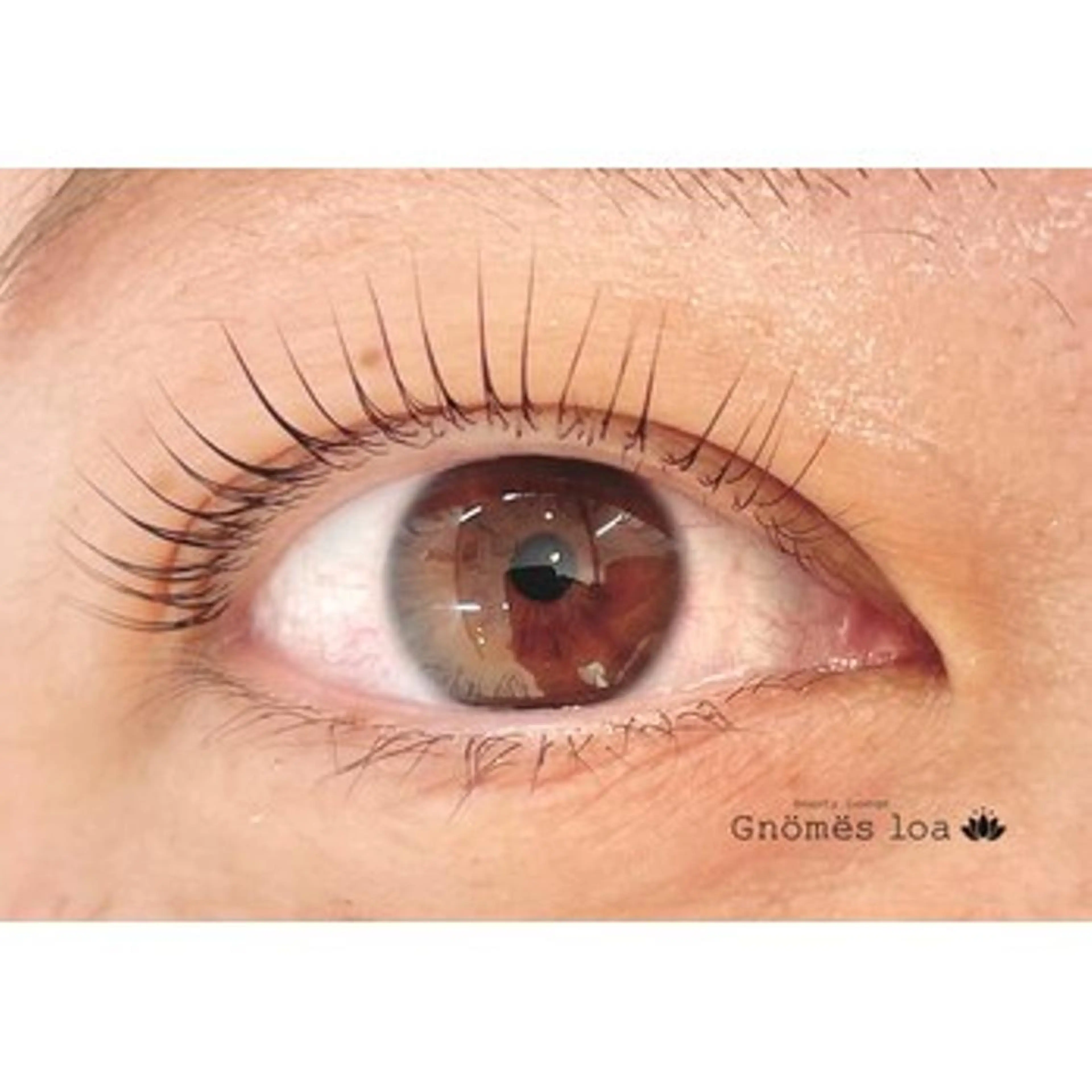 マツエク・マツパ マツパ 今関 美穂の眉毛・アイブロウイメージ