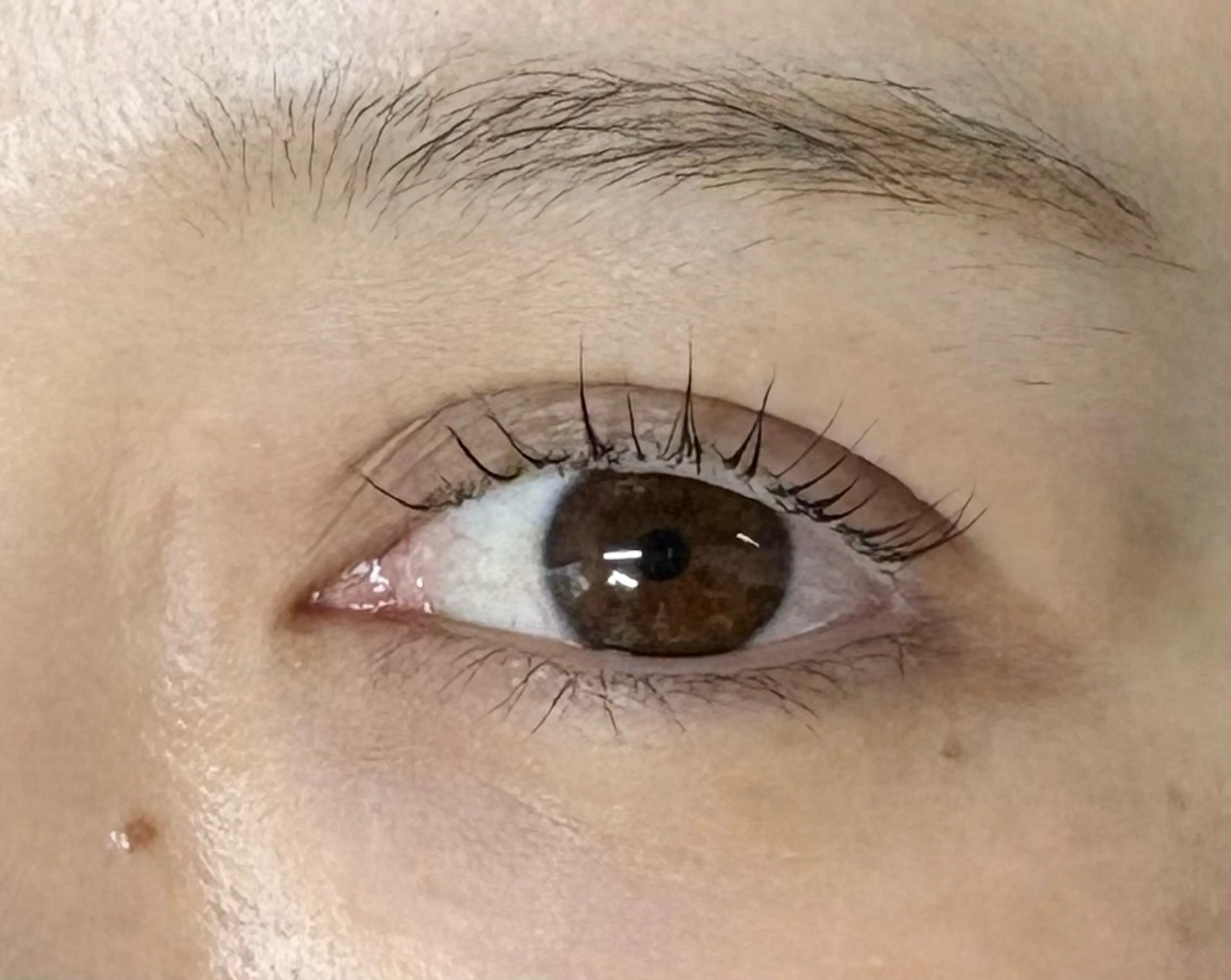 マツエク・マツパ Holus Moriguchiのマツエク・マツパデザイン