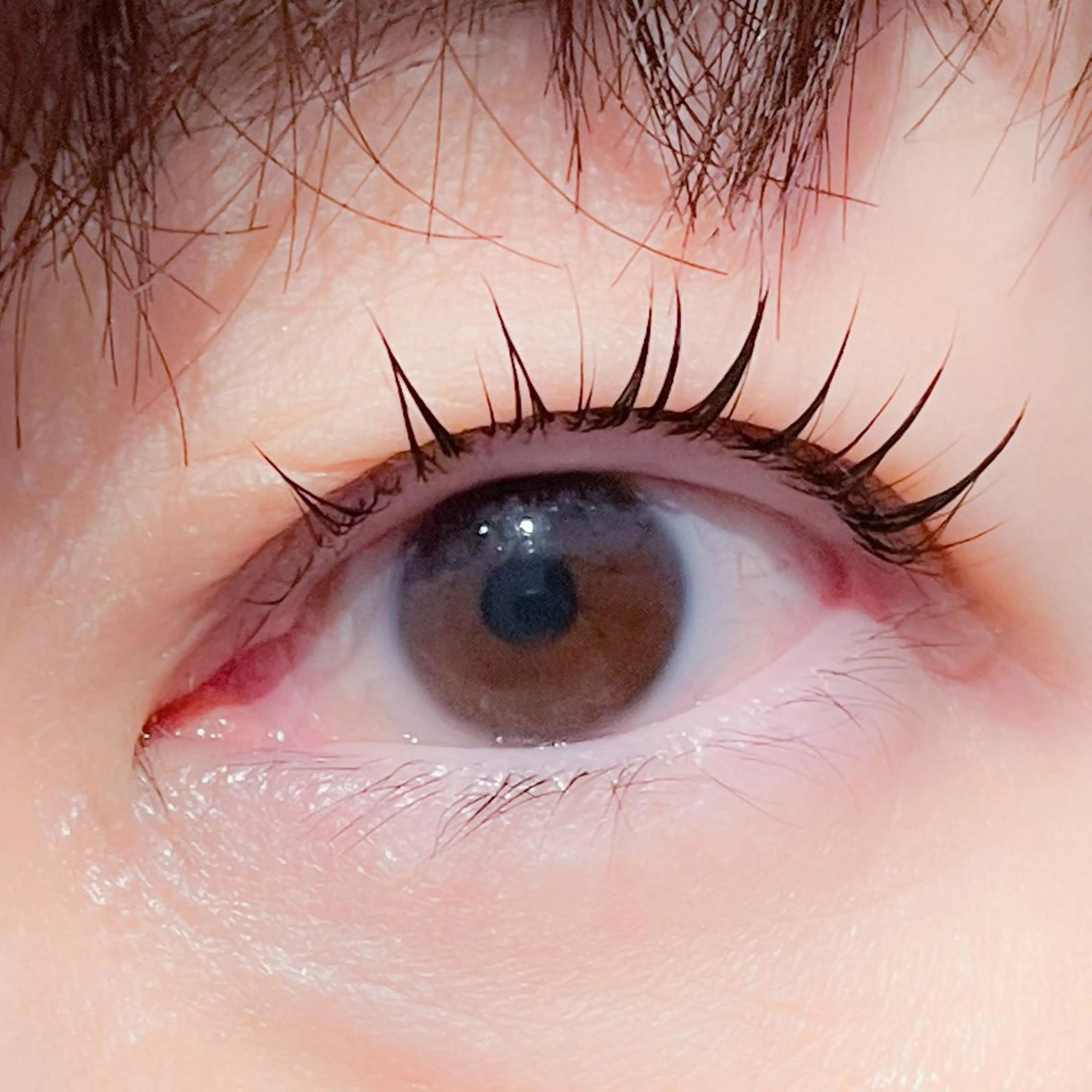 マツエク・マツパ まつげパーマ 飯田/Tomo's HairDesignのマツエク・マツパデザイン