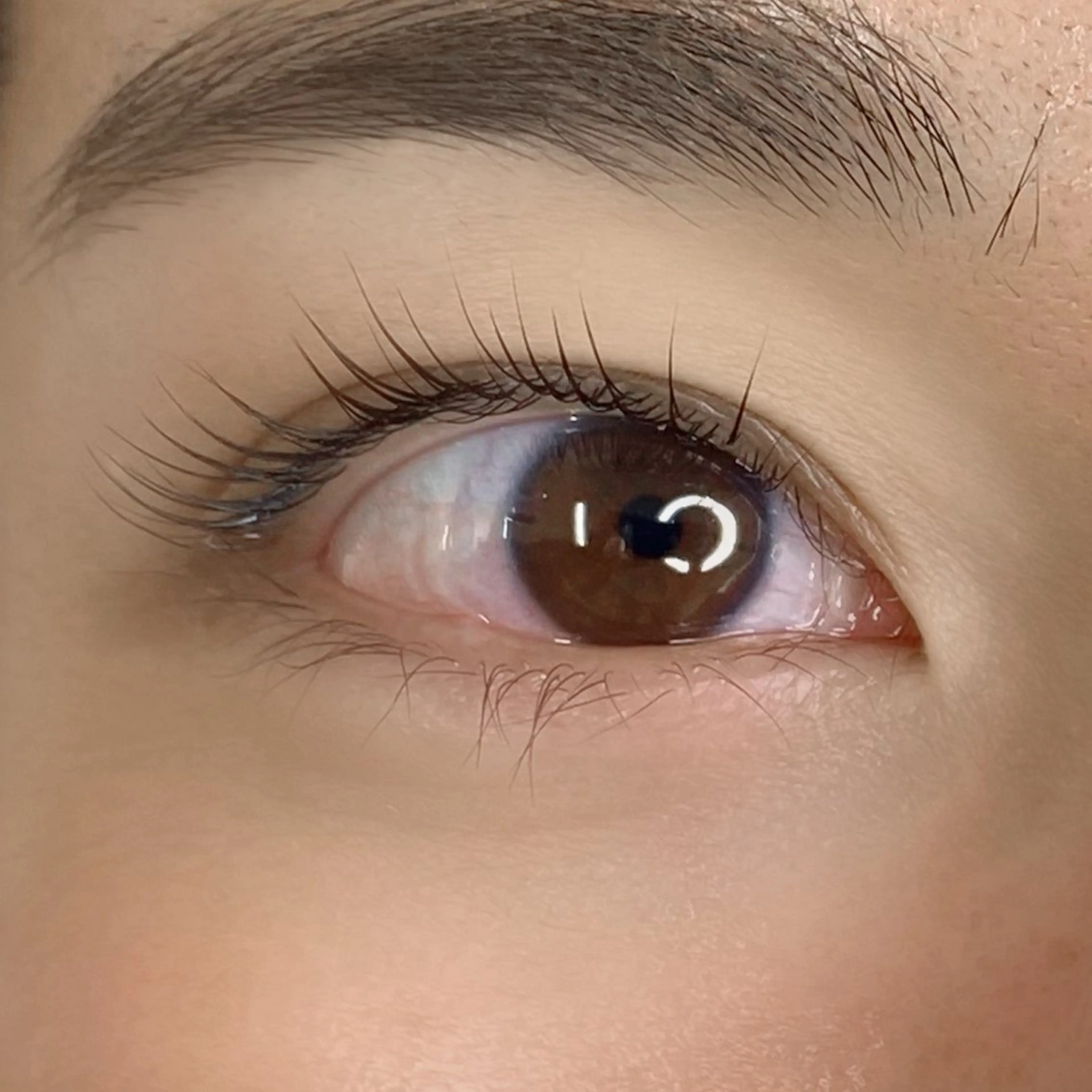 マツエク・マツパ まつげパーマ 一重×まつ毛パーマ マツパ U too e's MANAE🌼の眉毛・アイブロウイメージ