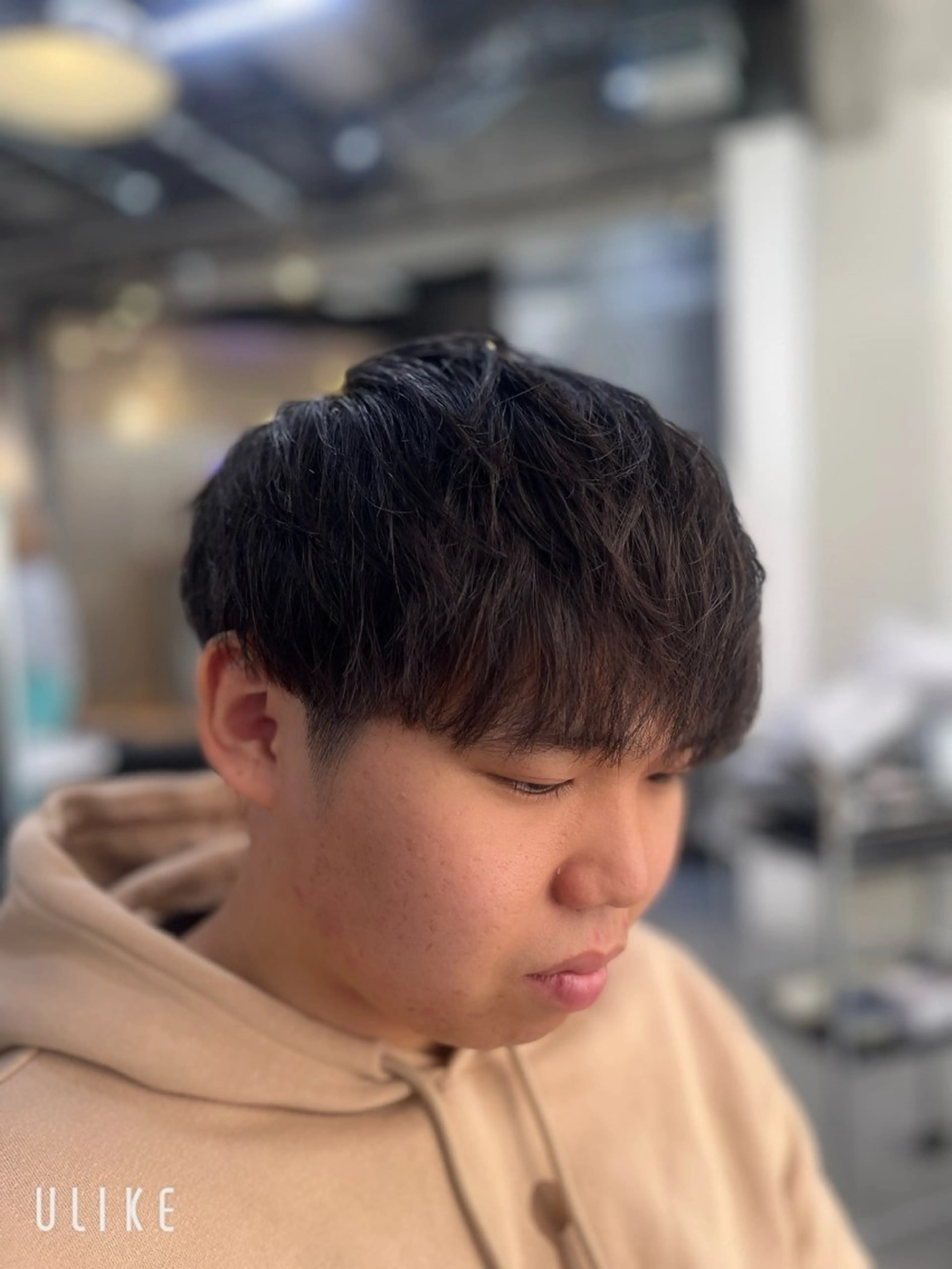 ミディアム メンズ マッシュ 森山 聖弥/メンズカットのヘアスタイル