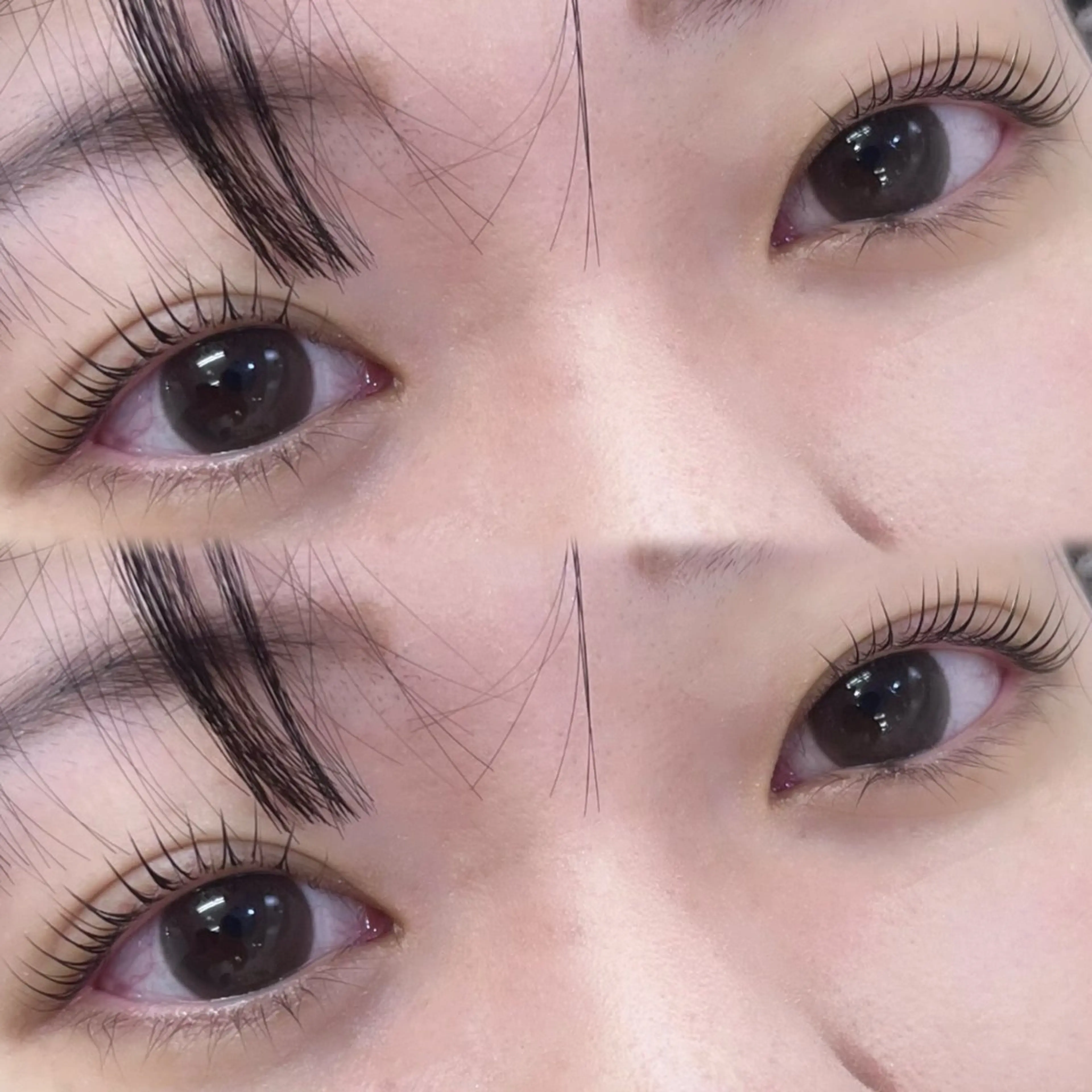 根元立ち上げ⟡.*パリジェンヌラッシュリフト上🪞束間コーティング仕上げ🤍　マツパ/韓国風/笹塚の写真