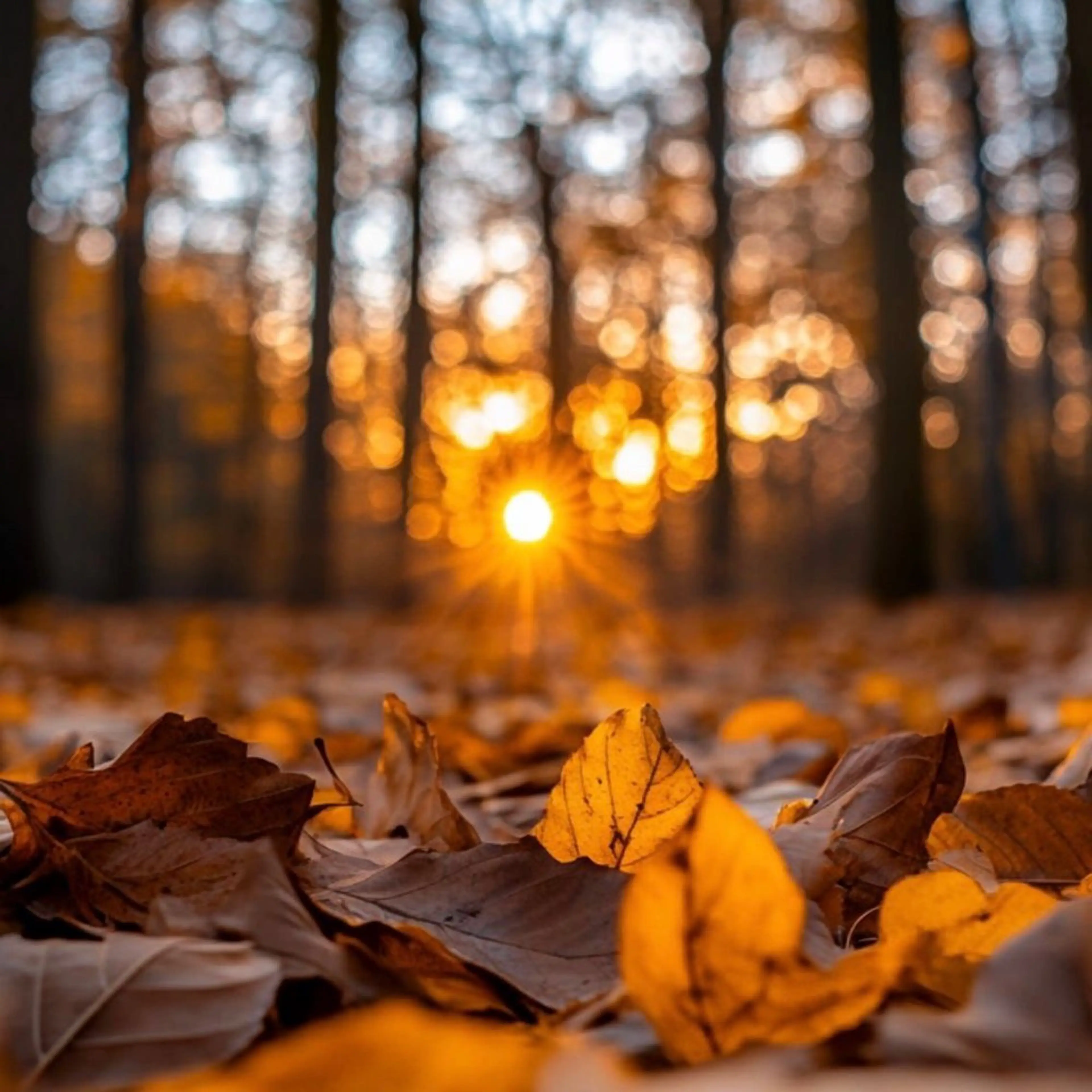 触れたくなる モテ肌へ...❤︎のエステ・リラクイメージ