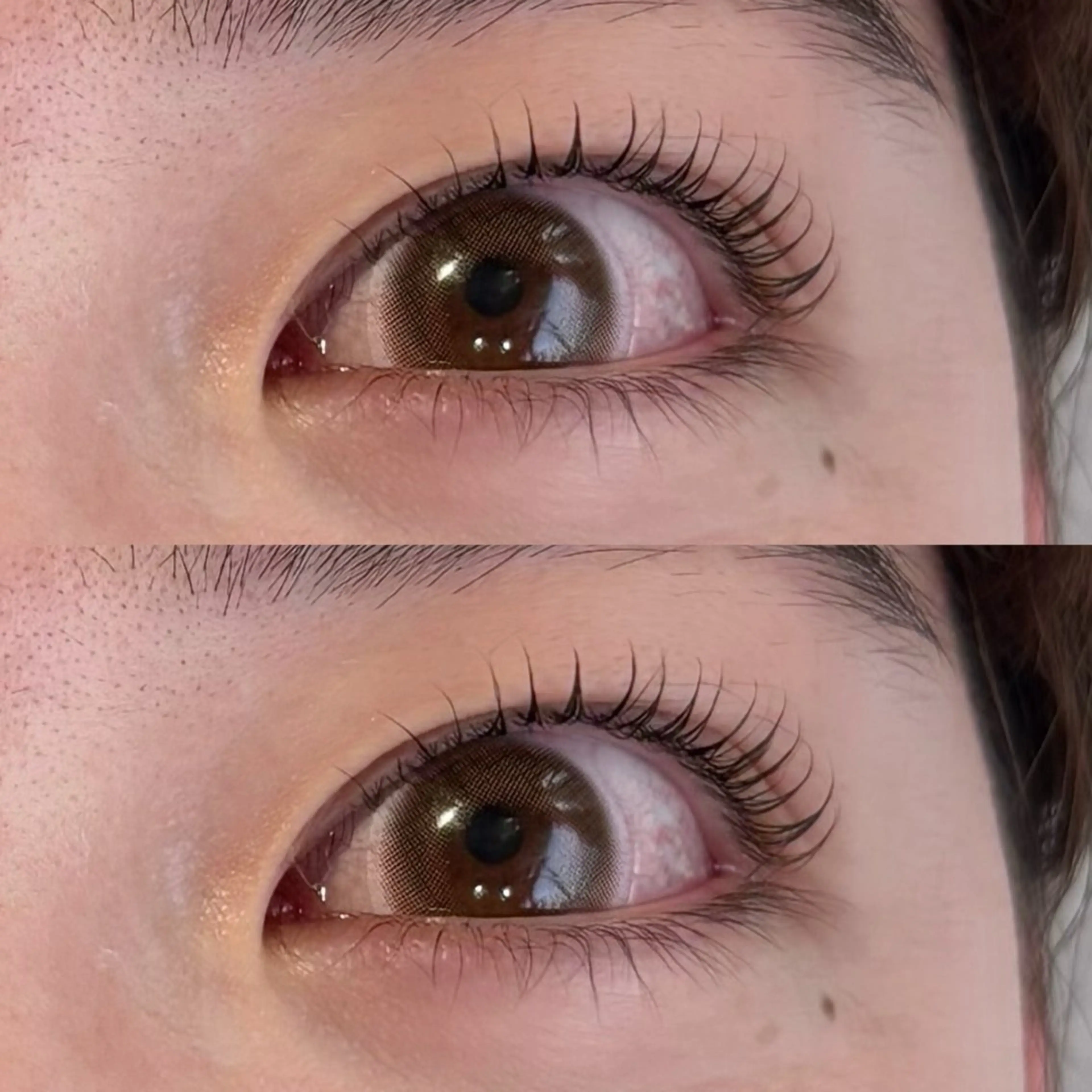 🎀まつ毛パーマ／ラッシュリフト🎀の写真