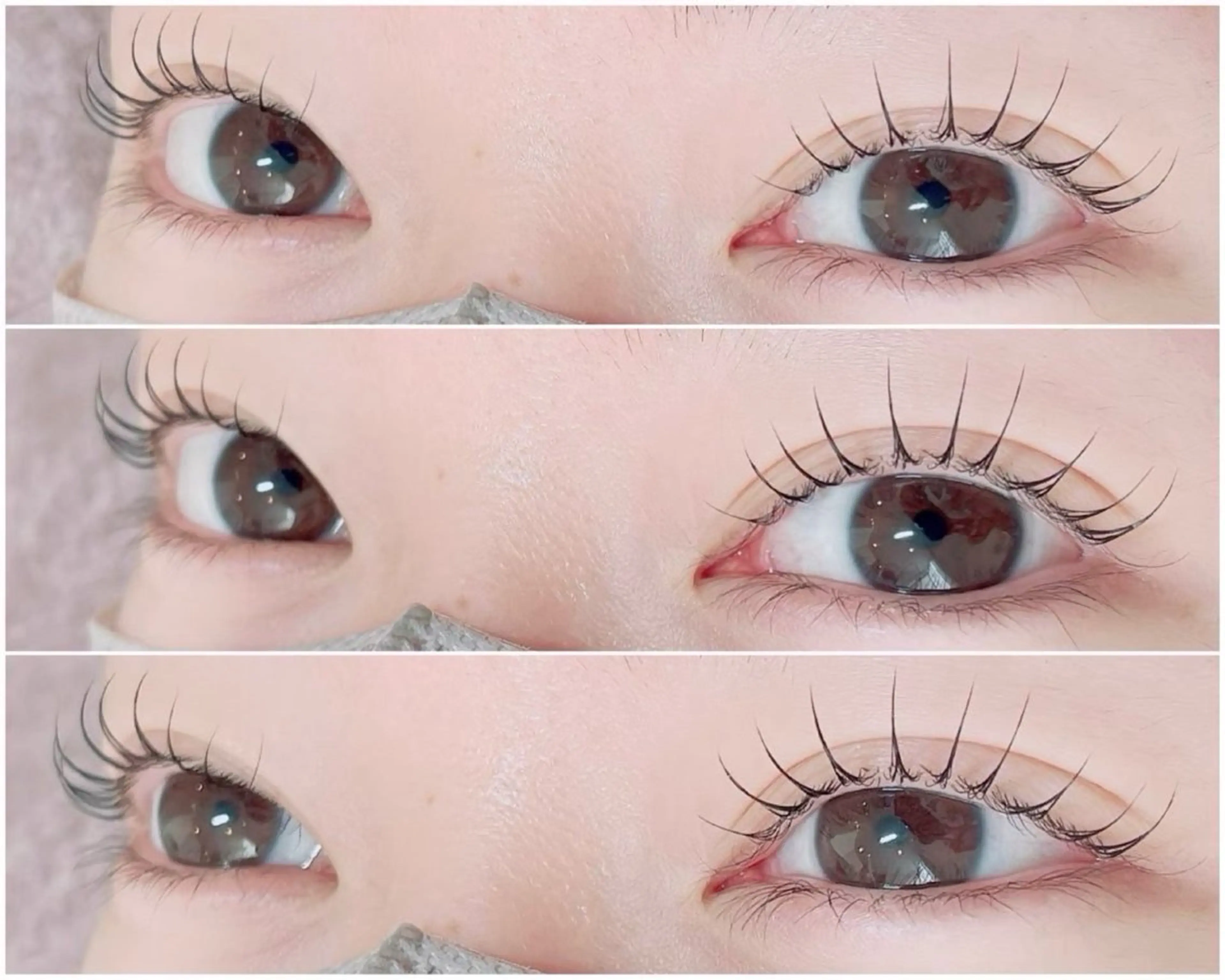 ✨パリジェンヌラッシュリフト✨トリートメント＆コーティング仕上げ付き🌹の写真