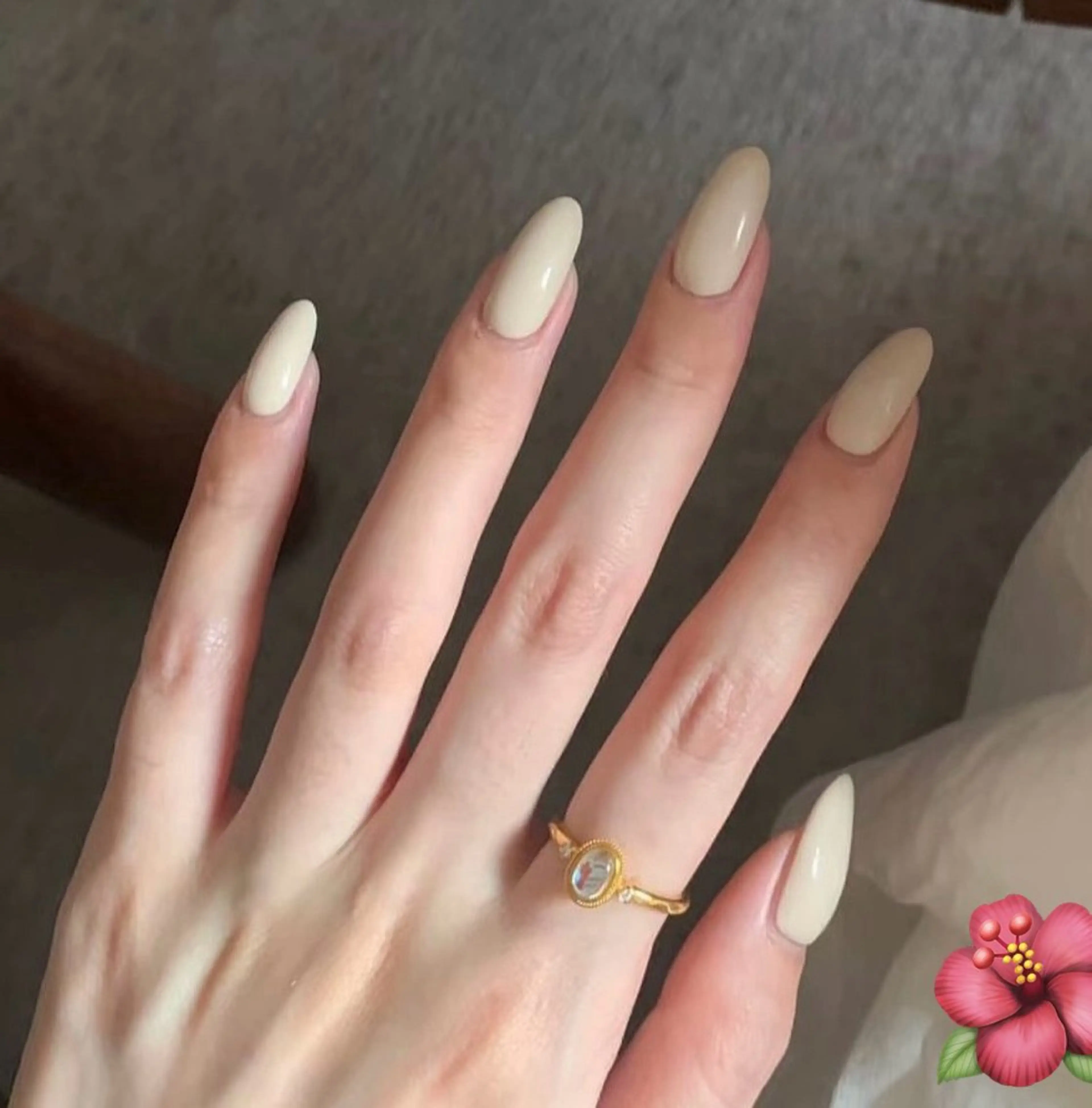 ネイル ハンドネイル ハンドケア モナ& あきのネイルデザイン