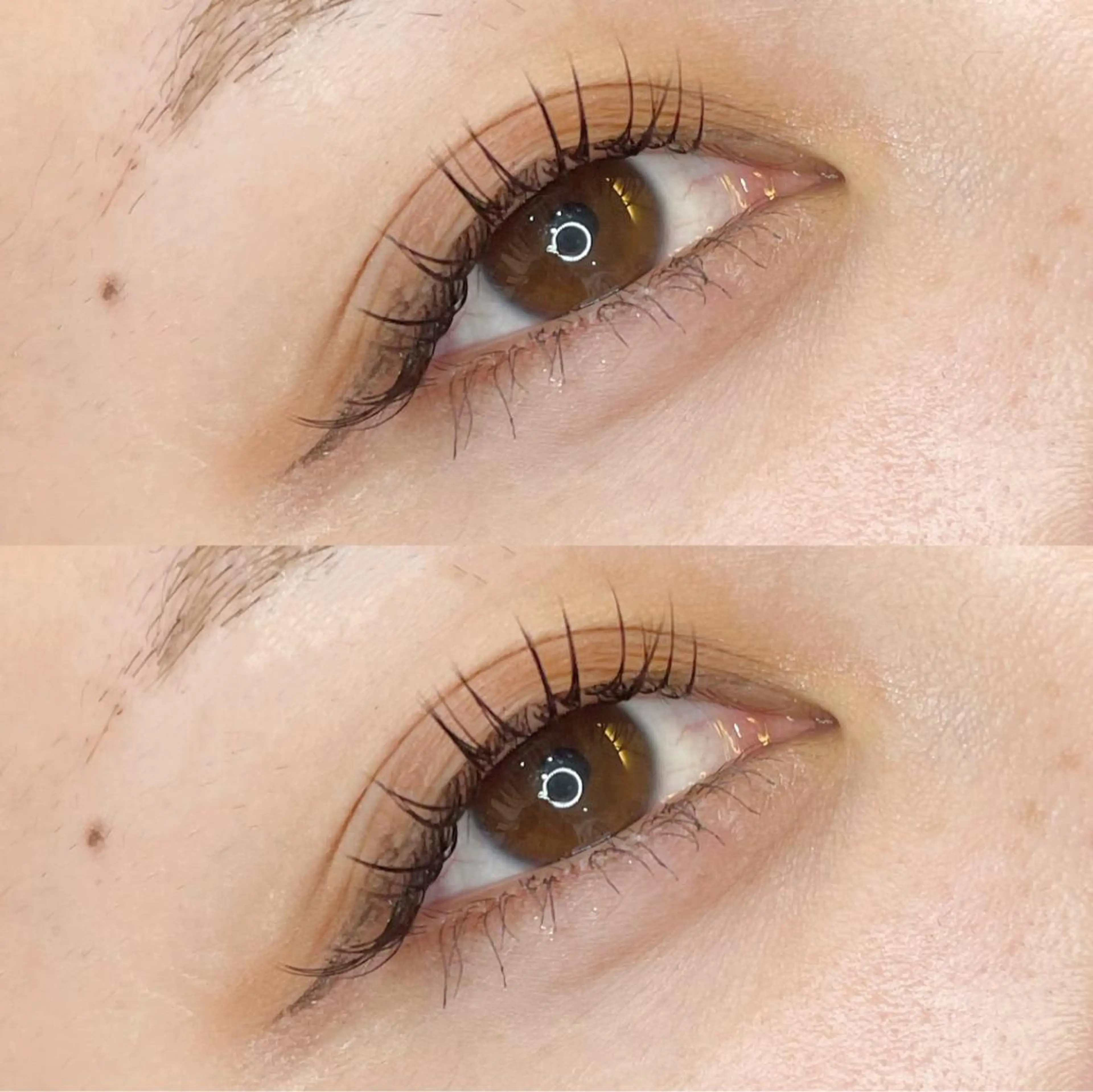 🎀フラットセーブル140本🎀デザインお選びいただきます！(カラー変更プラス1500円)の写真