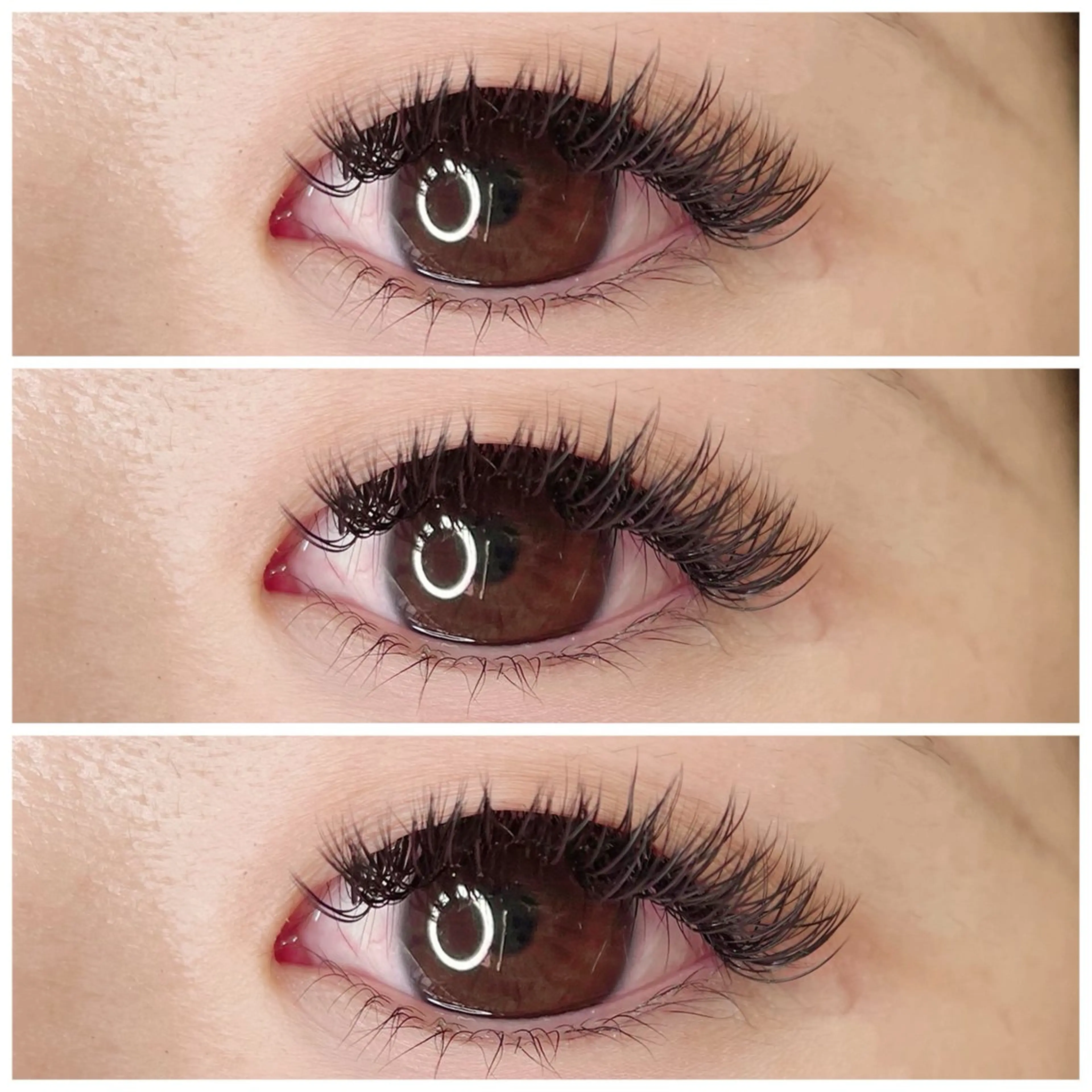 マツエク・マツパ バインドロック Dカール cil shenon【シルシェノン】所属・SAE | 大阪本町 | 韓国中国風🧸の眉毛・アイブロウイメージ