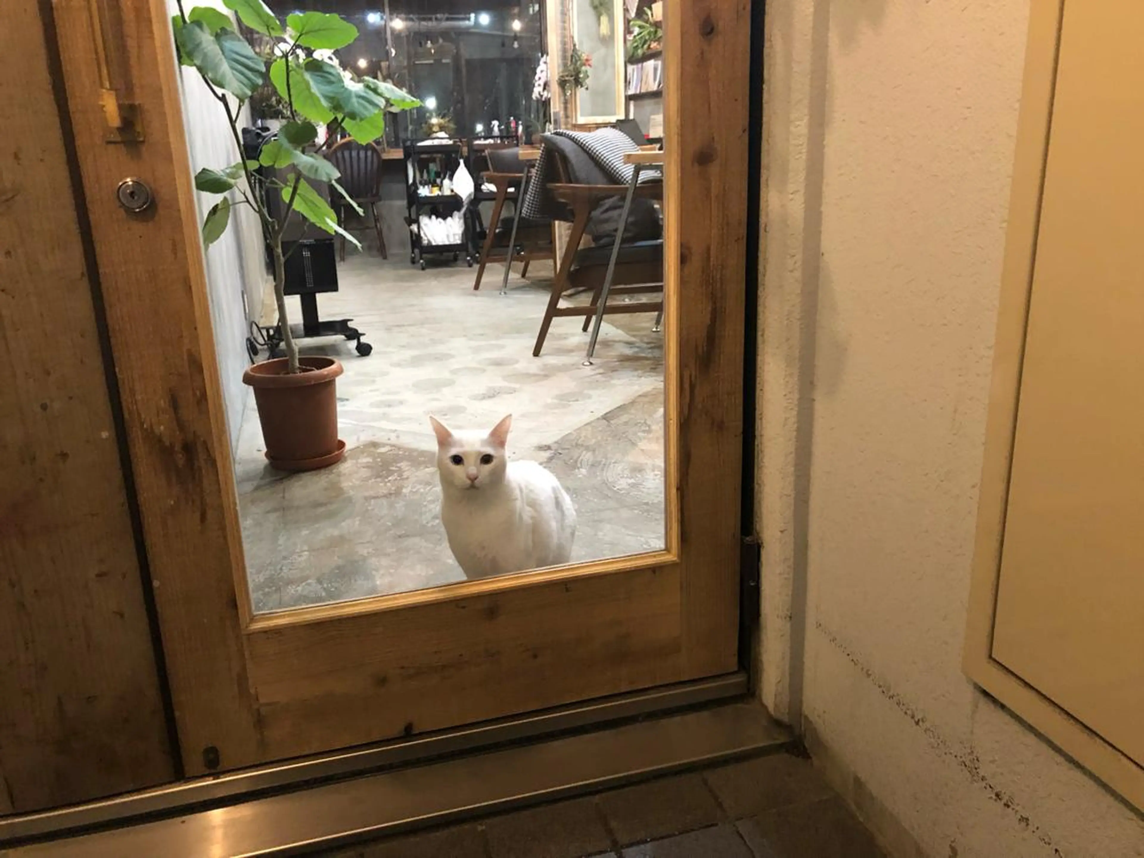 enne hair&organic所属・🌟髪質改善メテオ カラーenne🫧のヘアスタイル