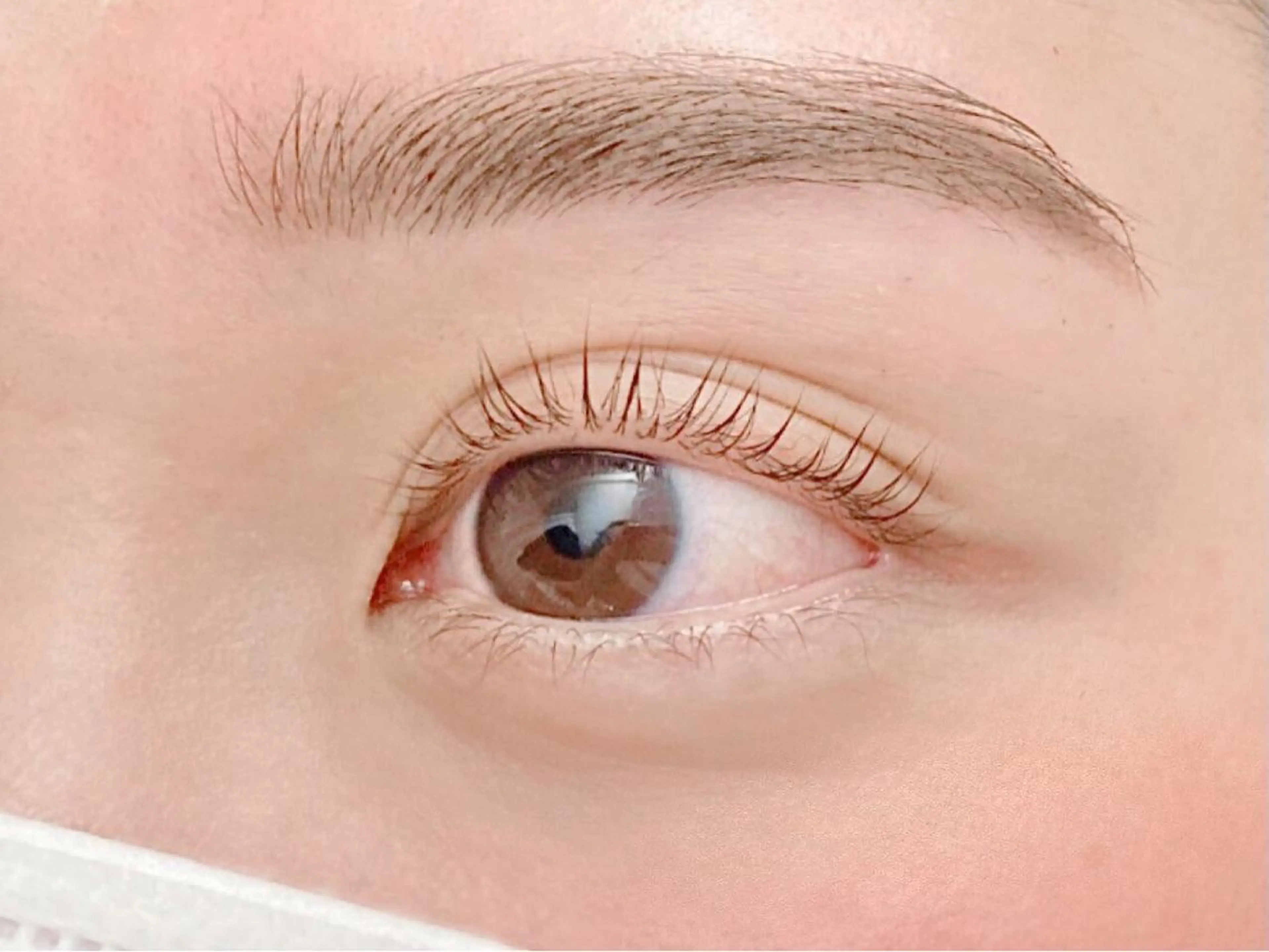 【限定価格💖】上まつげパーマ＆美眉wax脱毛1回の写真