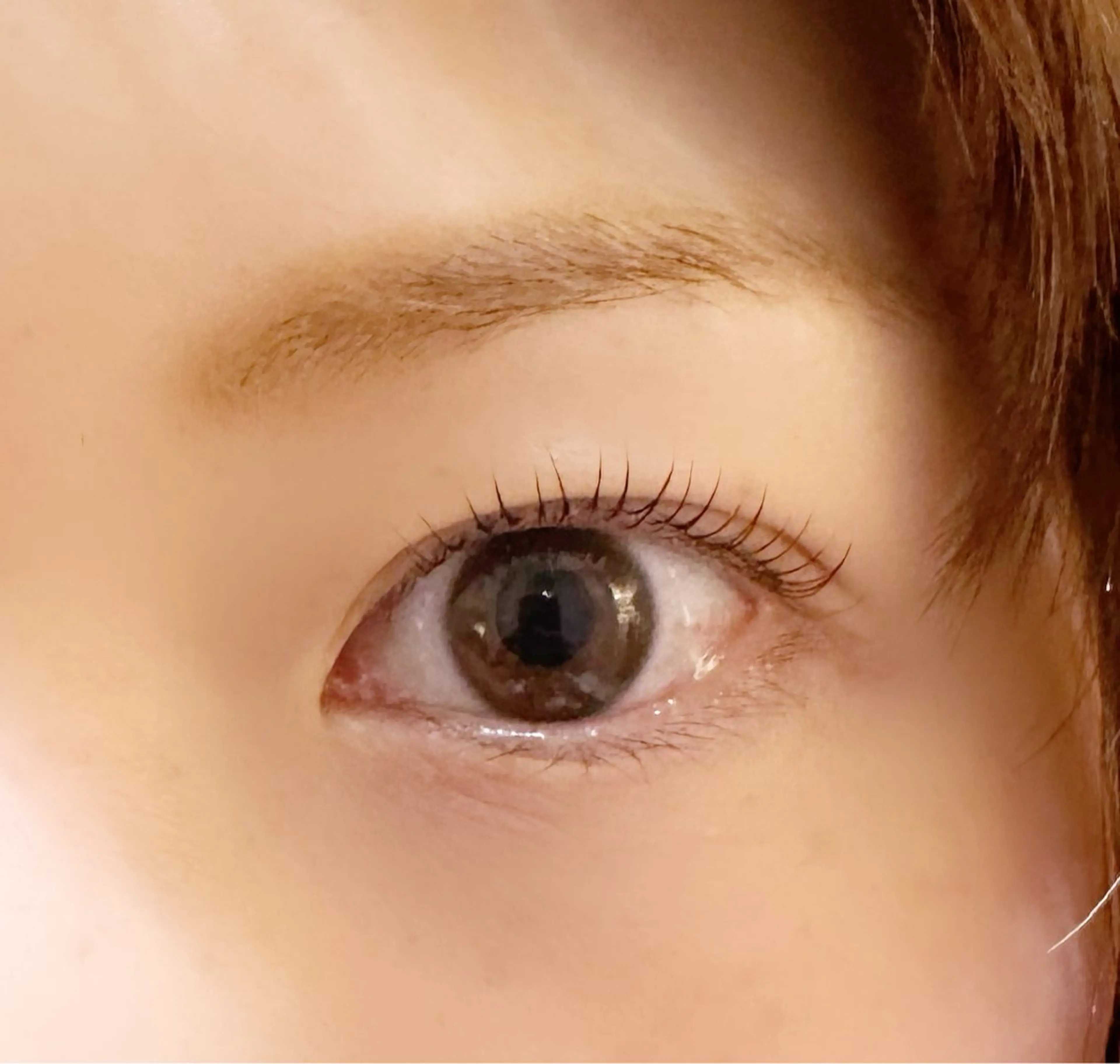 まつ毛パーマ！ラッシュリフト (トリートメント付き)の写真