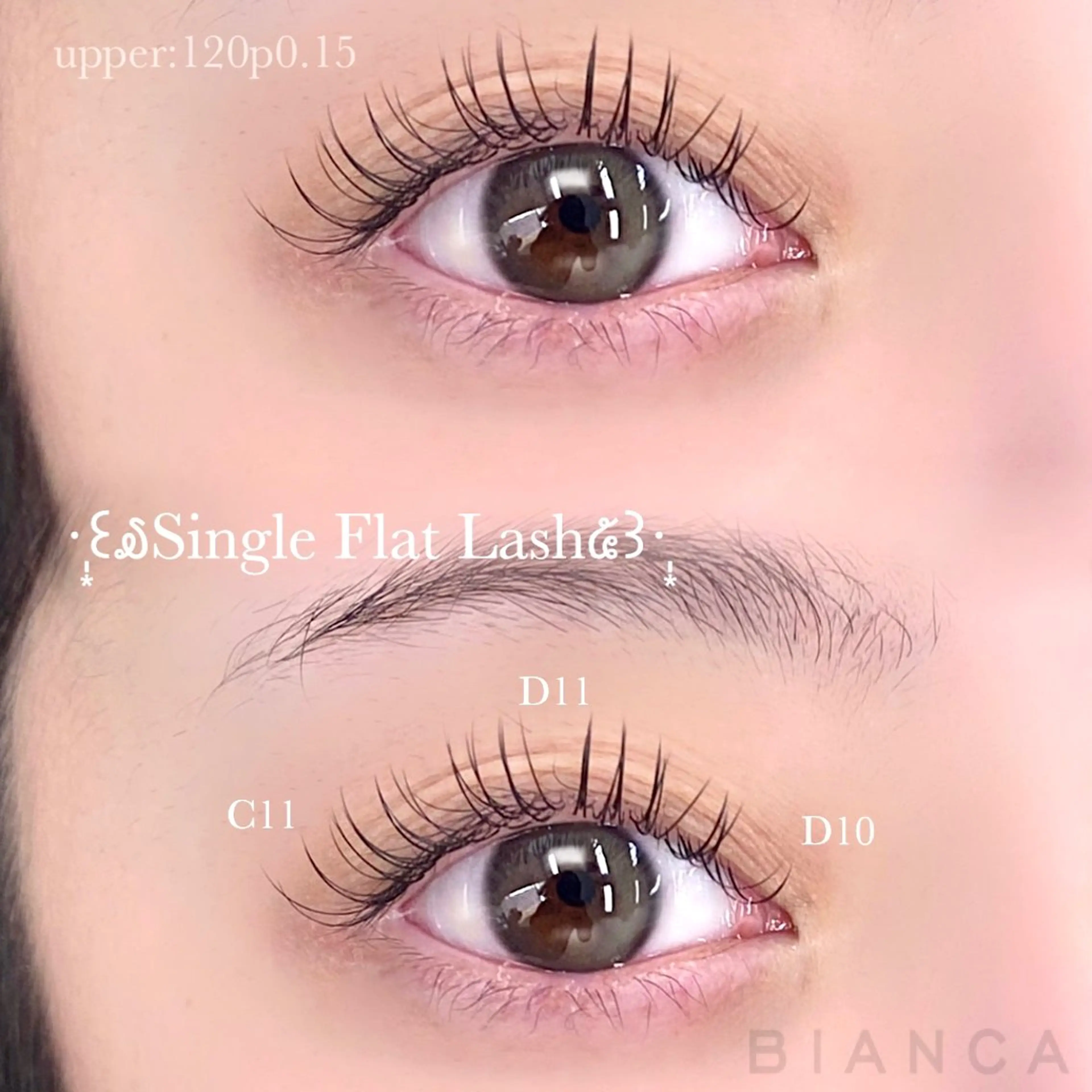 🦋-シングルラッシュ-【100本 ¥6330】🦋の写真