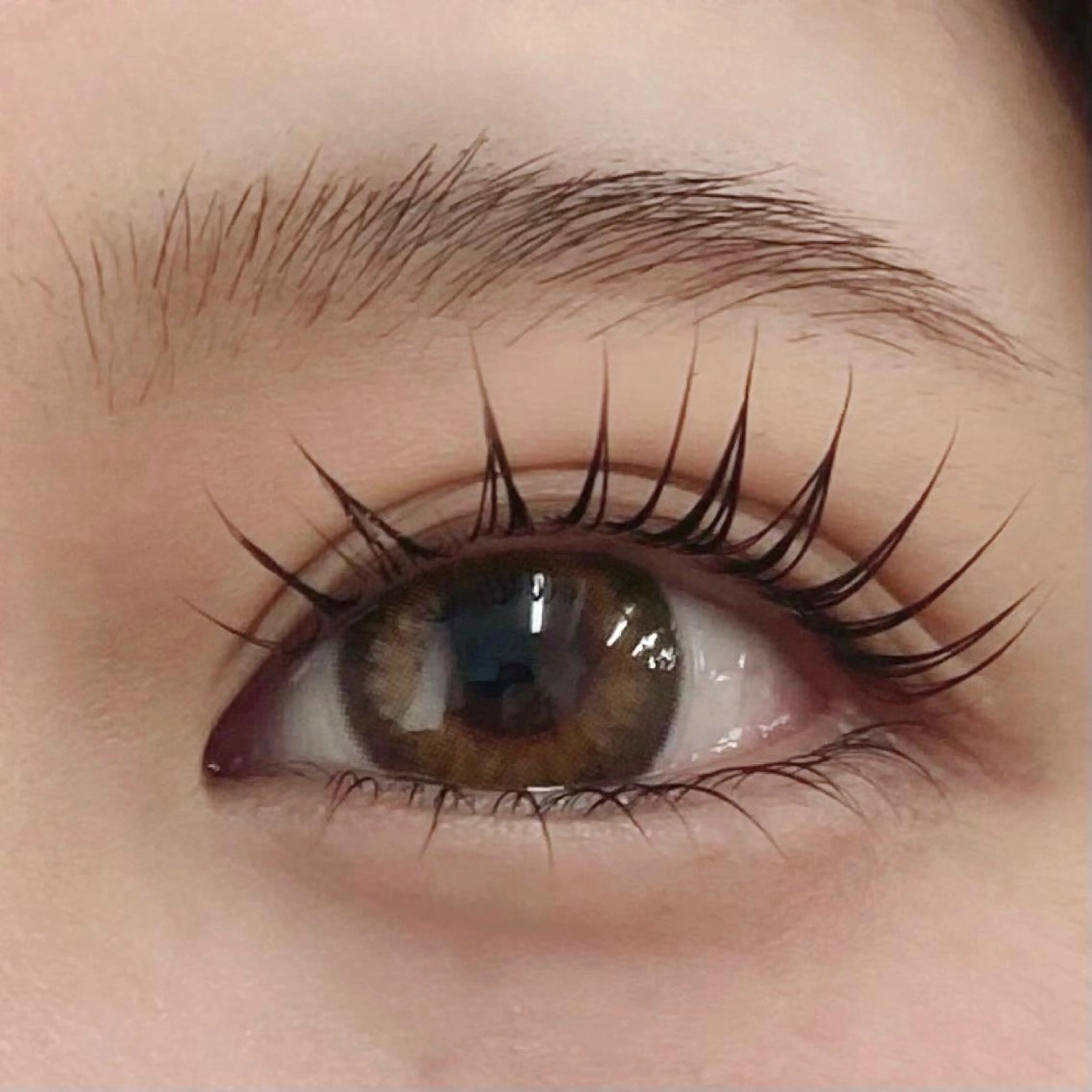 【長いまつ毛をアピール★】🫧パリジェンヌラッシュリフト🫧(上のみ) 横浜関内の写真