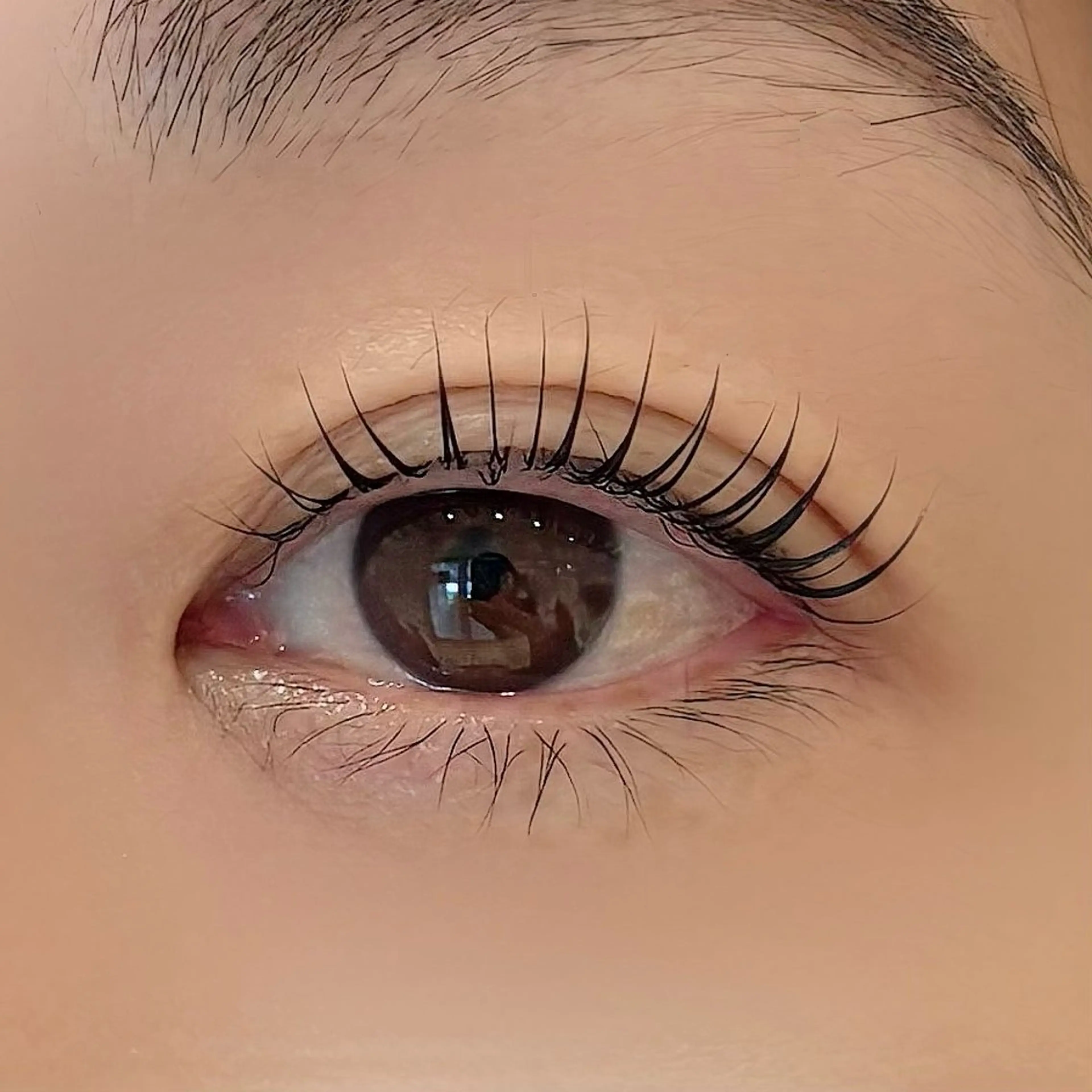 マツエク・マツパ 下田 恋雪 / granbeautyのマツエク・マツパデザイン