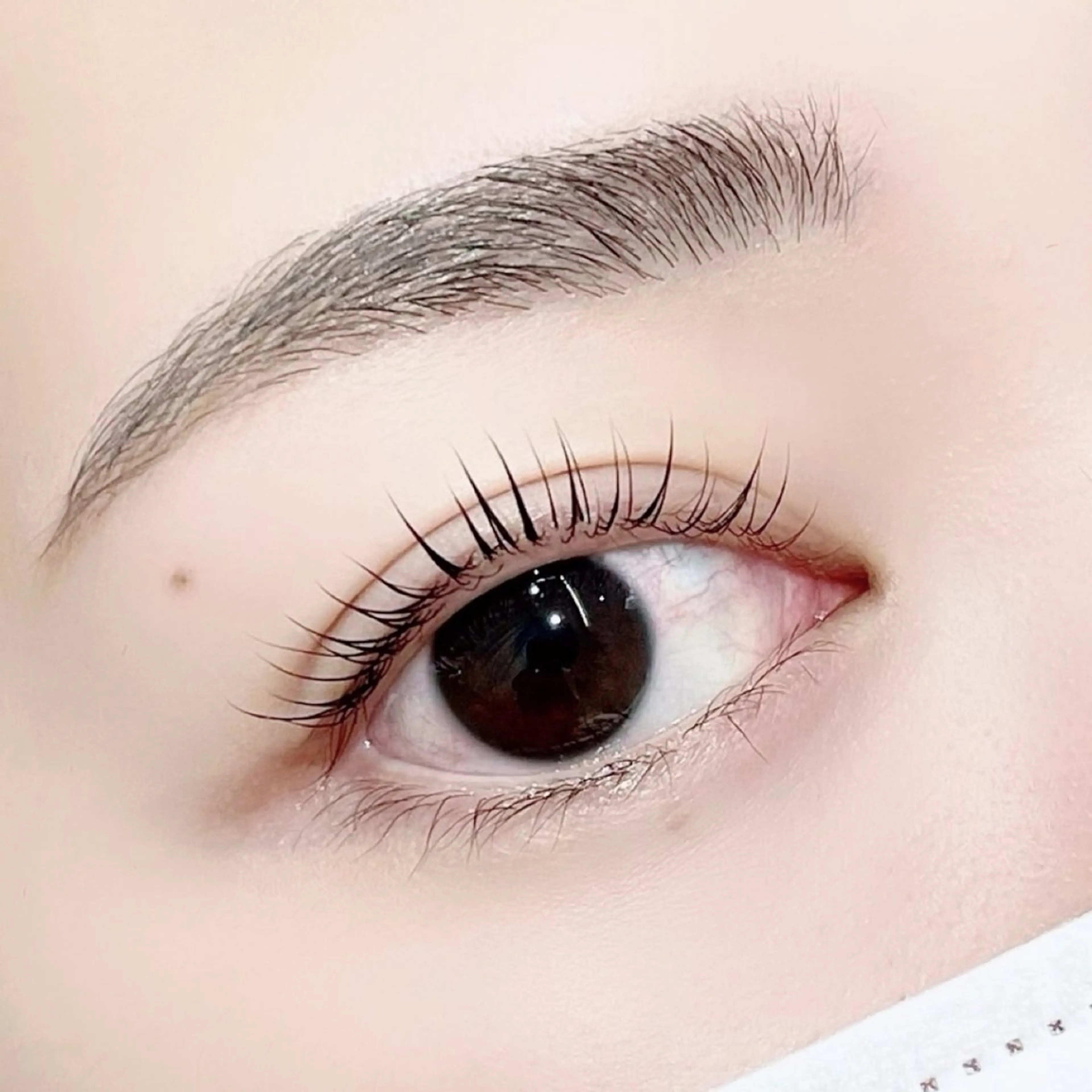 【本日限定】✂️眉カット&ラッシュリフト🐈⬛🎀の写真