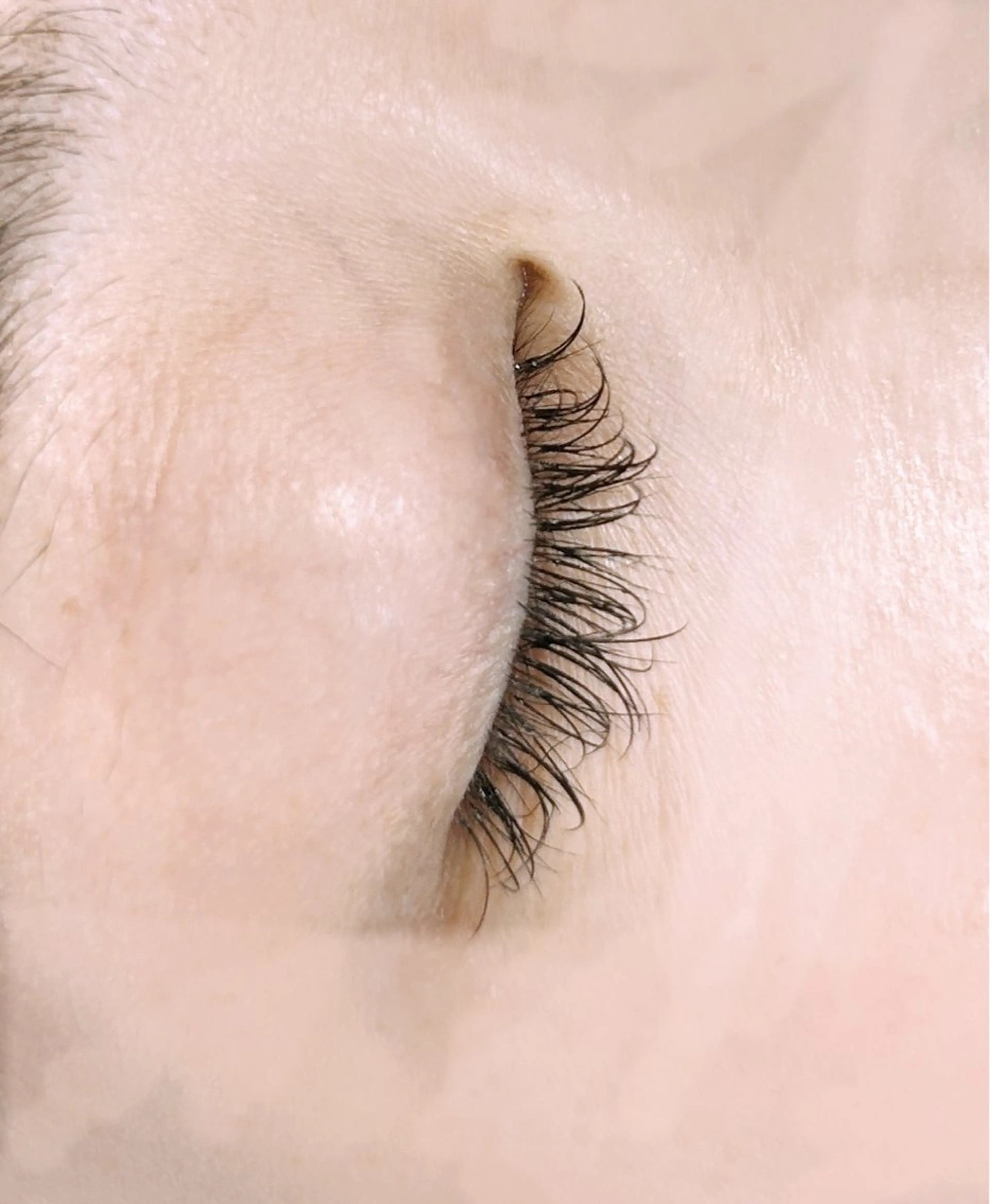 マツエク・マツパ 付け放題 Cカール 柏原 美咲のマツエク・マツパデザイン