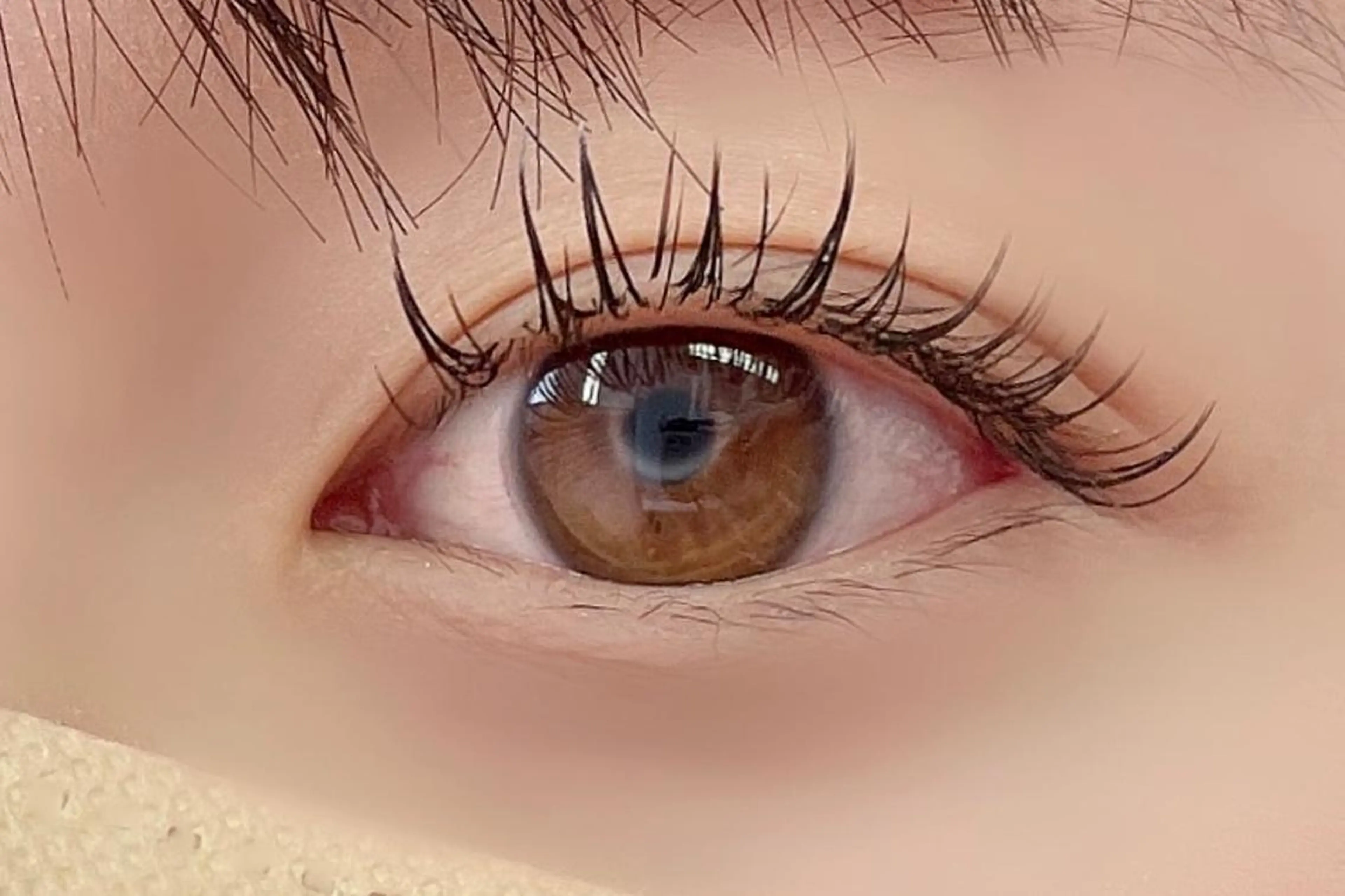 マツエク・マツパ マツエク 大阪福島 韓国まつげ Sayaka🤍🐩のマツエク・マツパデザイン