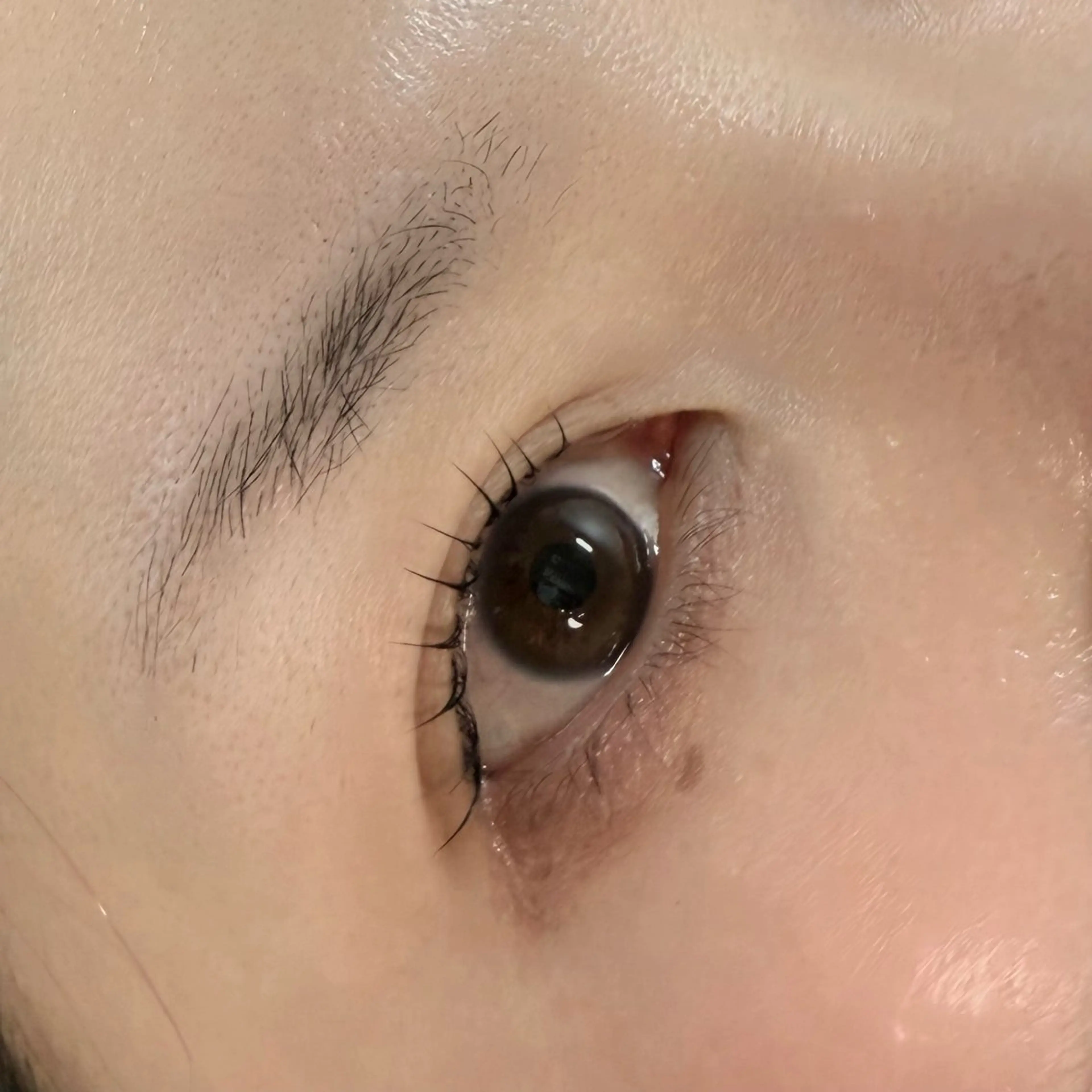 ダメージレス！メーテルラッシュ👀🩵（コーティング付き）の写真