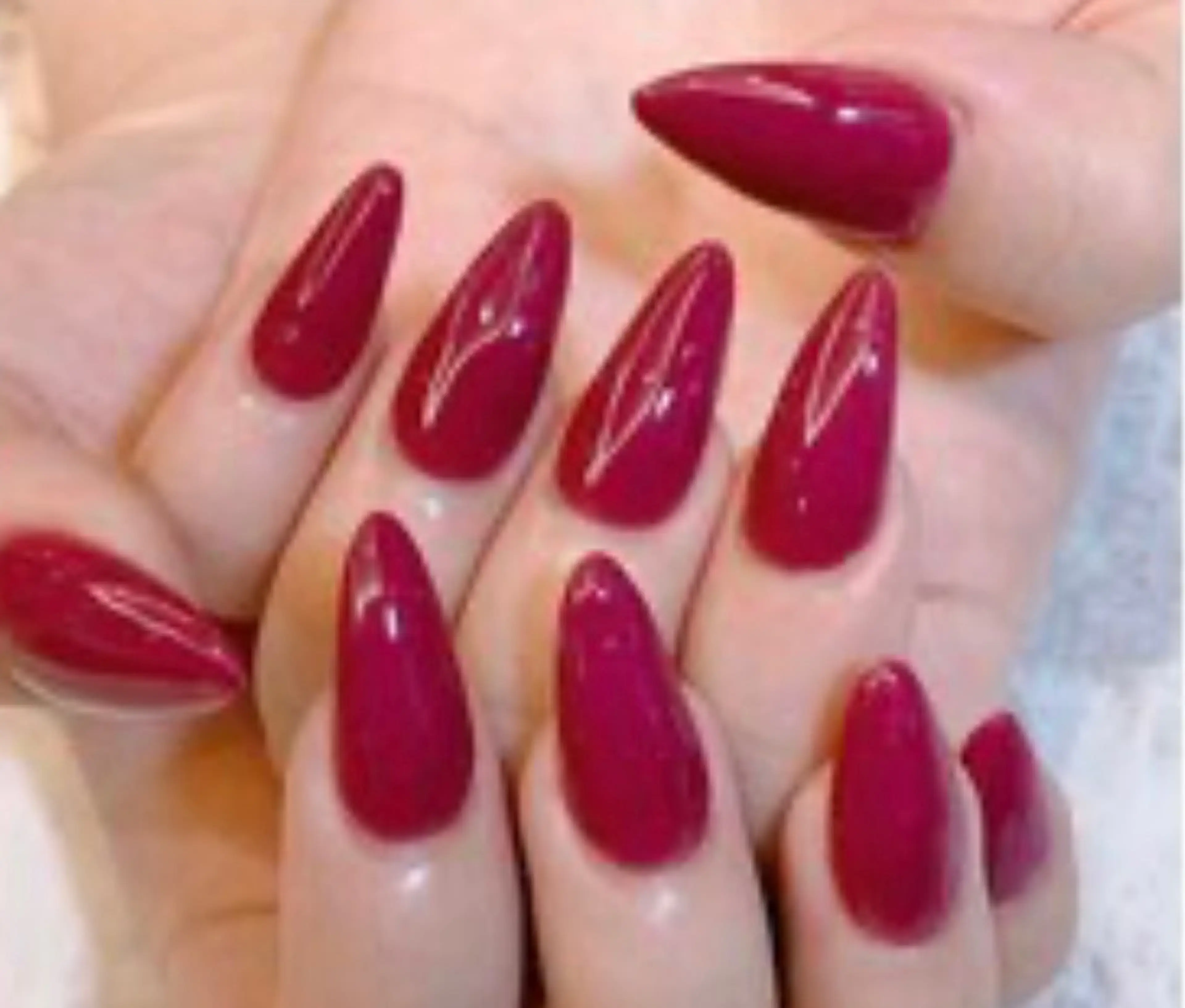 ワンカラーの写真