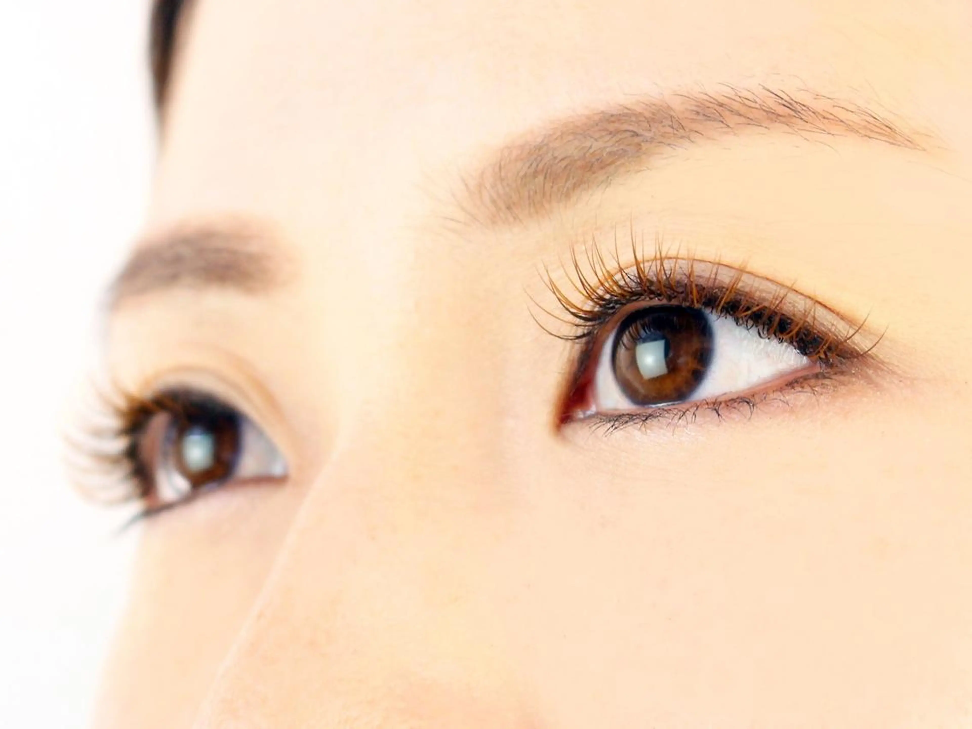 マツエク・マツパ えんとゆかり　千歳船橋所属・AYANO &　YUKAのマツエク・マツパデザイン