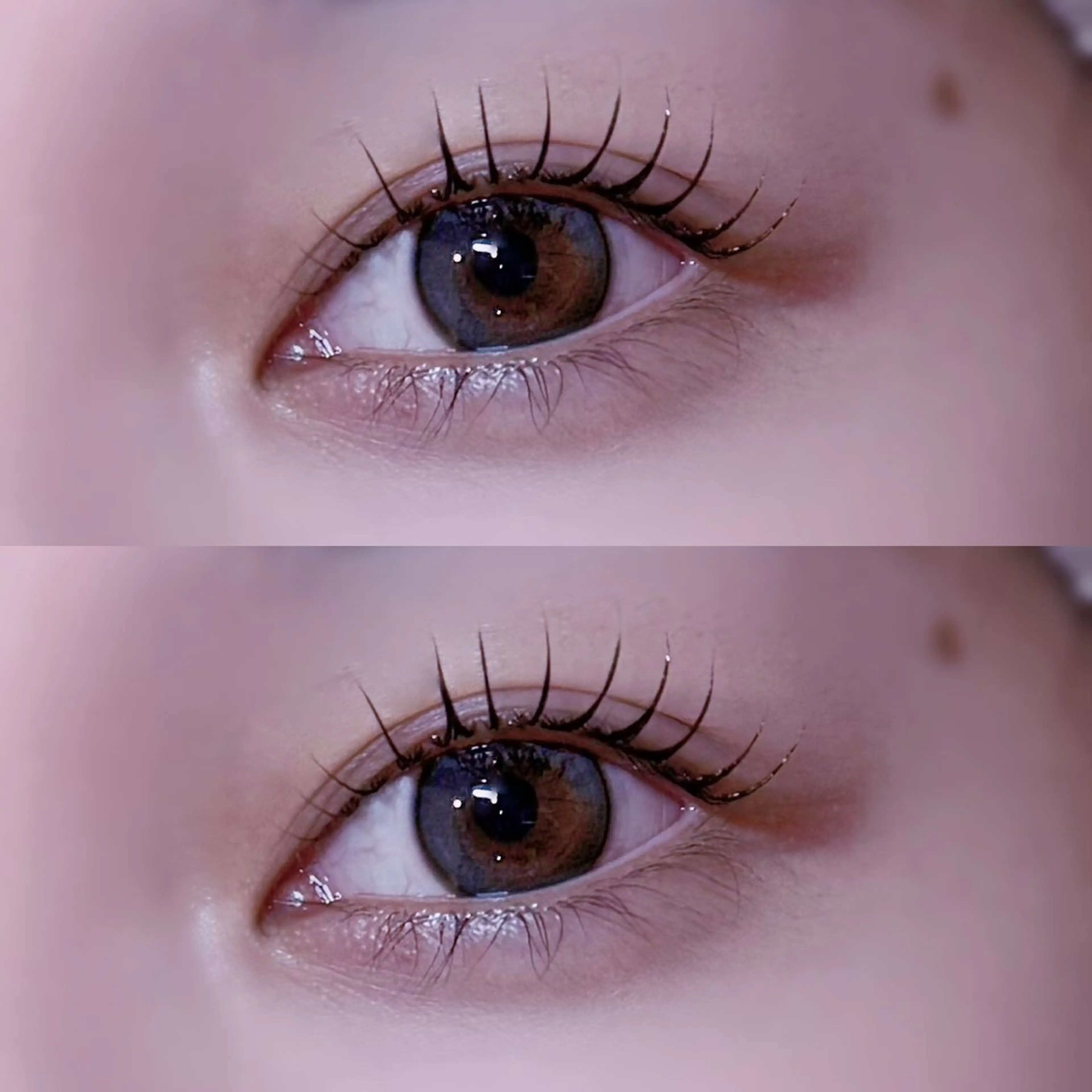 【ミニモ価格】デザイン選べるまつげパーマ🍣の写真