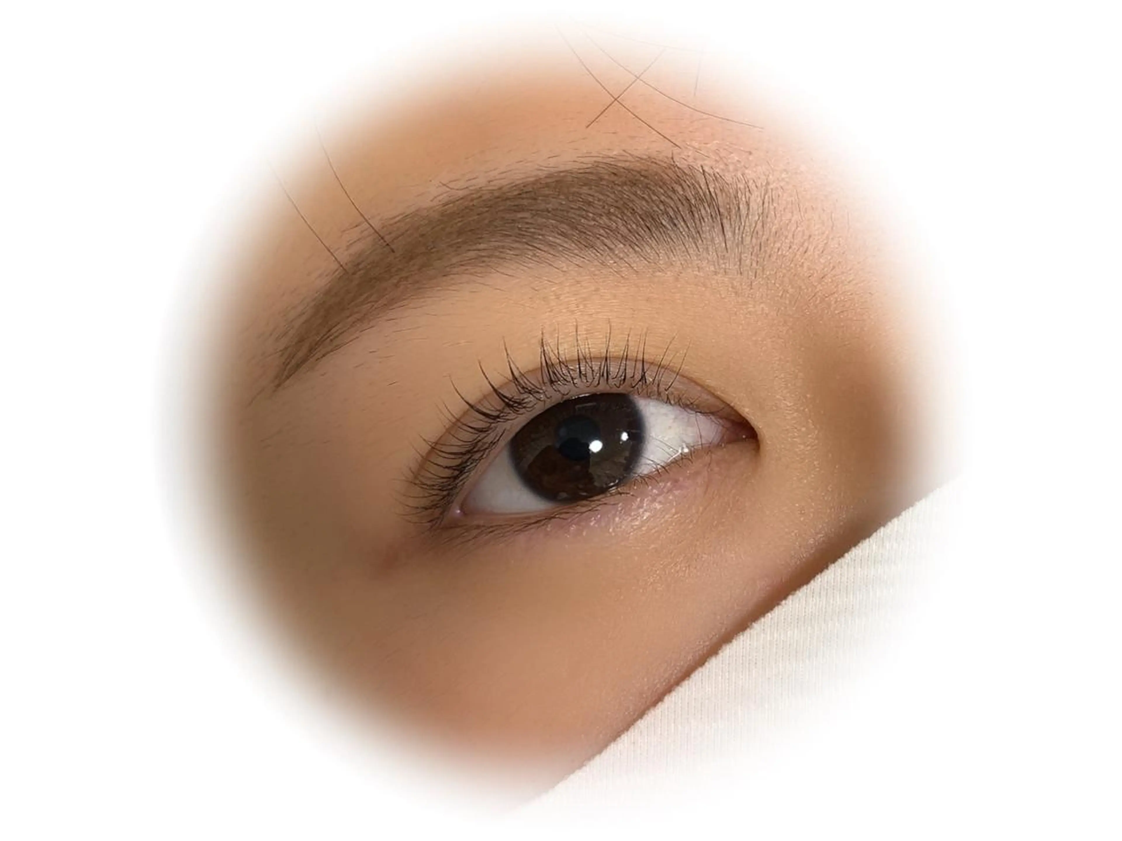 マツエク・マツパ Lapin【ラパン】所属・Lapin ラパンのマツエク・マツパデザイン