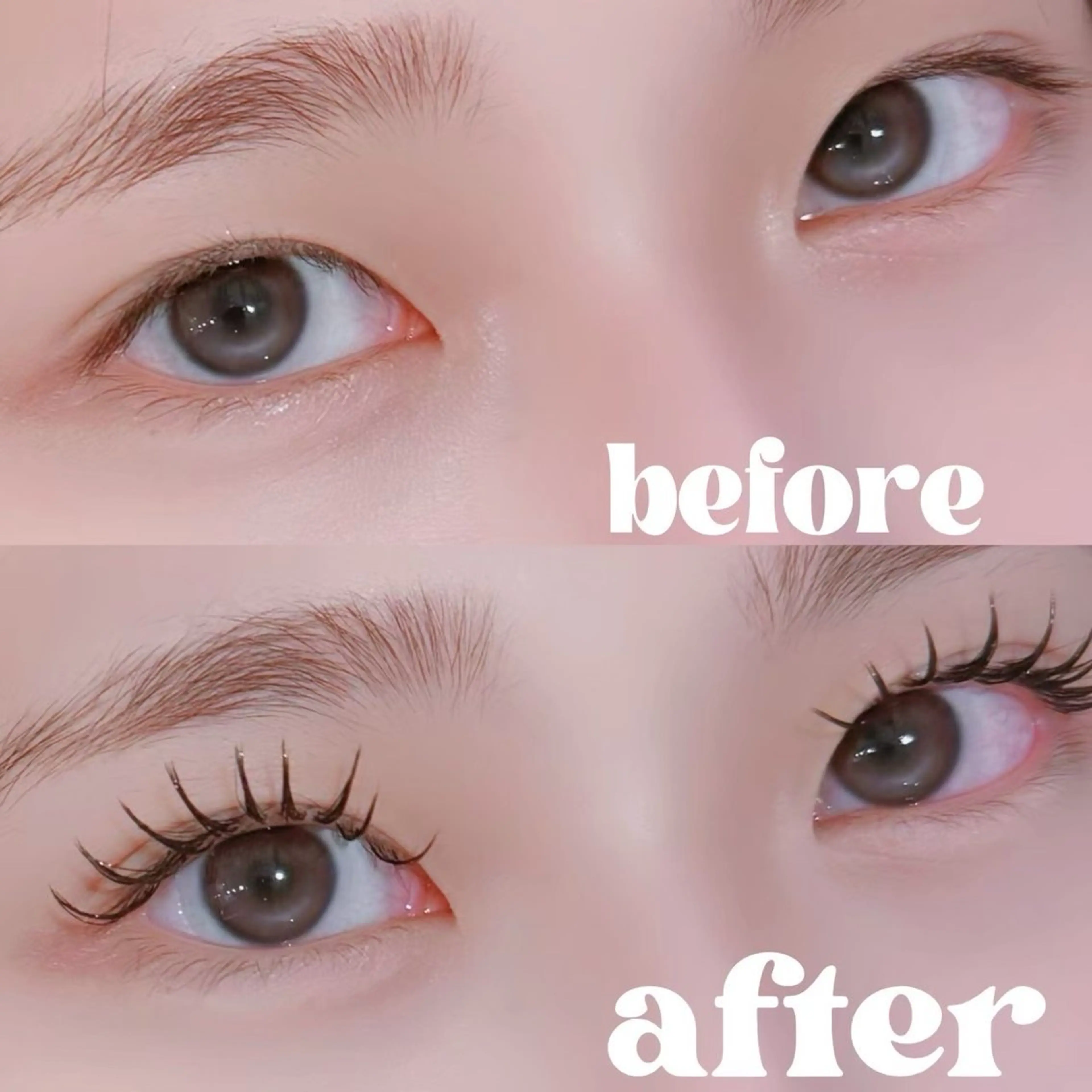 マツエク・マツパ 🌼マリーテレジア 🎀Ｋ.Ｔ🌼のマツエク・マツパデザイン