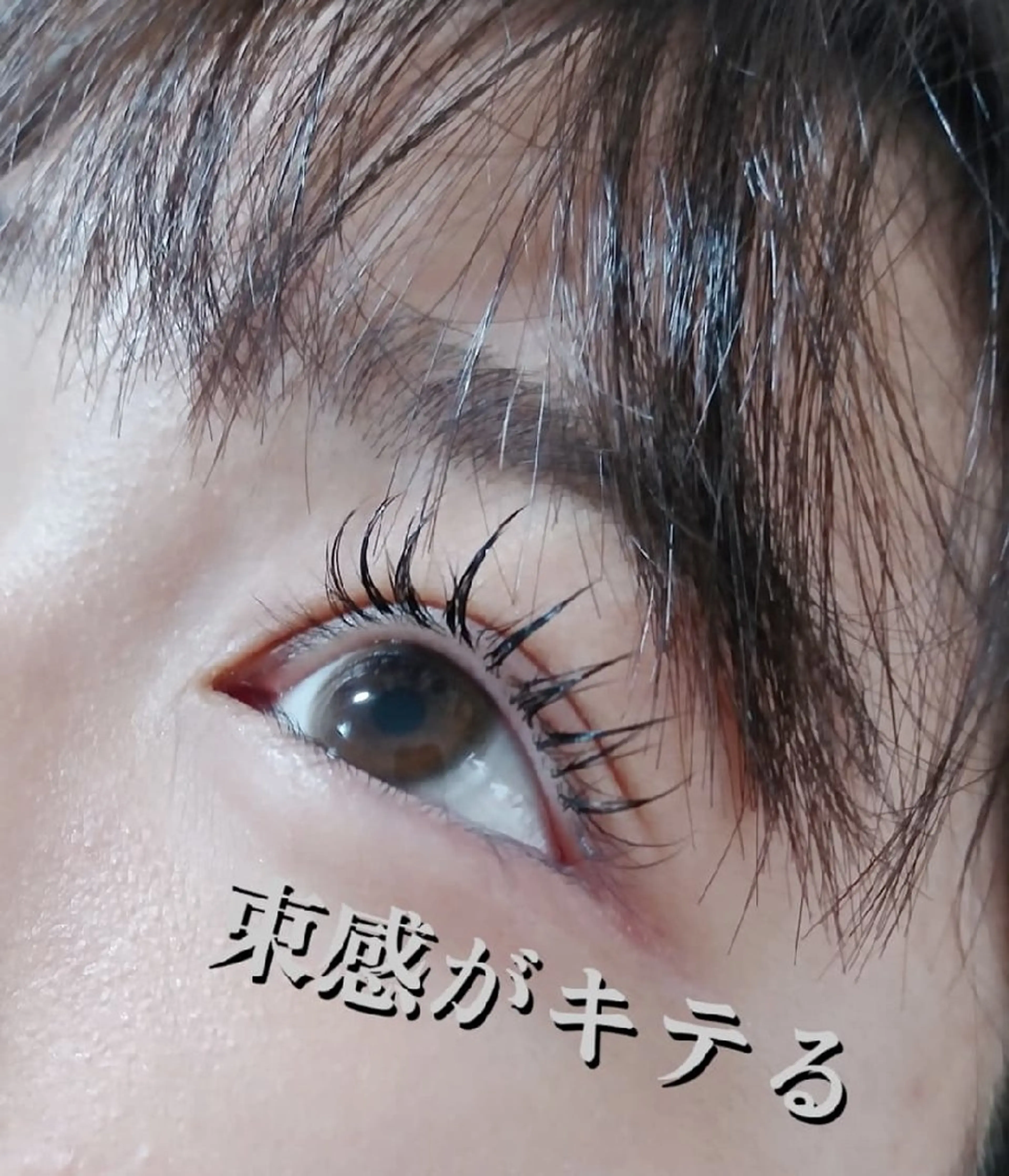 マツエク・マツパ violus所属・violus 天六のマツエク・マツパデザイン