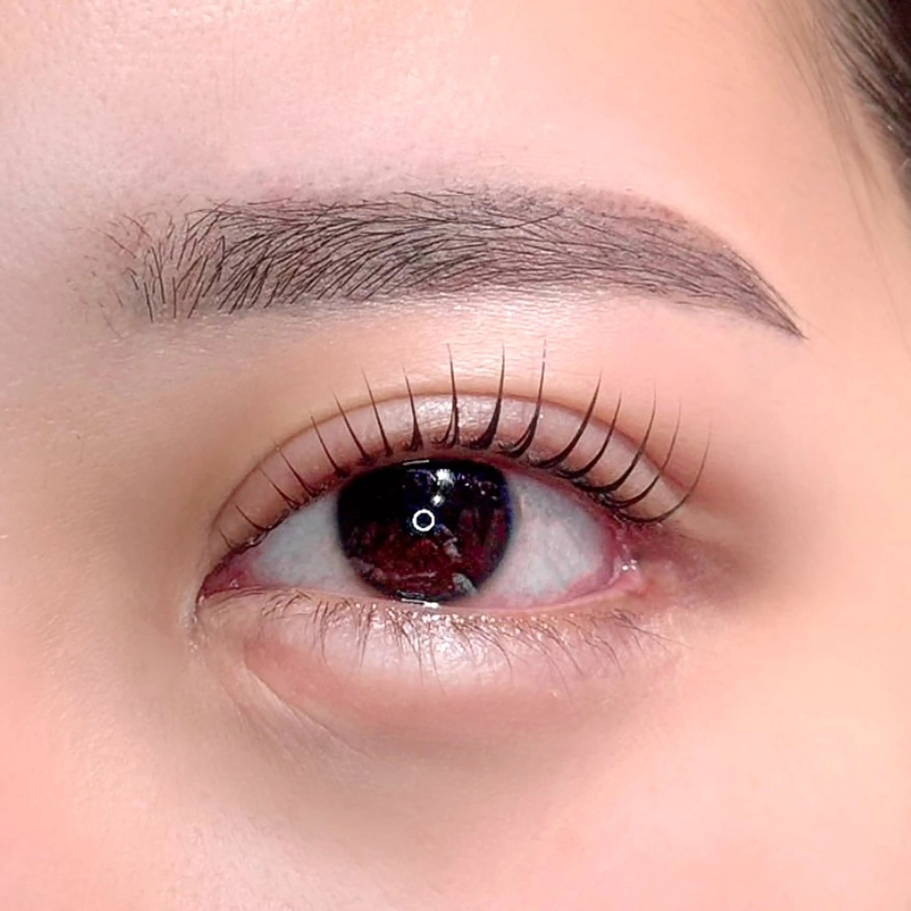 上下パリジェンヌ➕アイブロウwax 🩶の写真