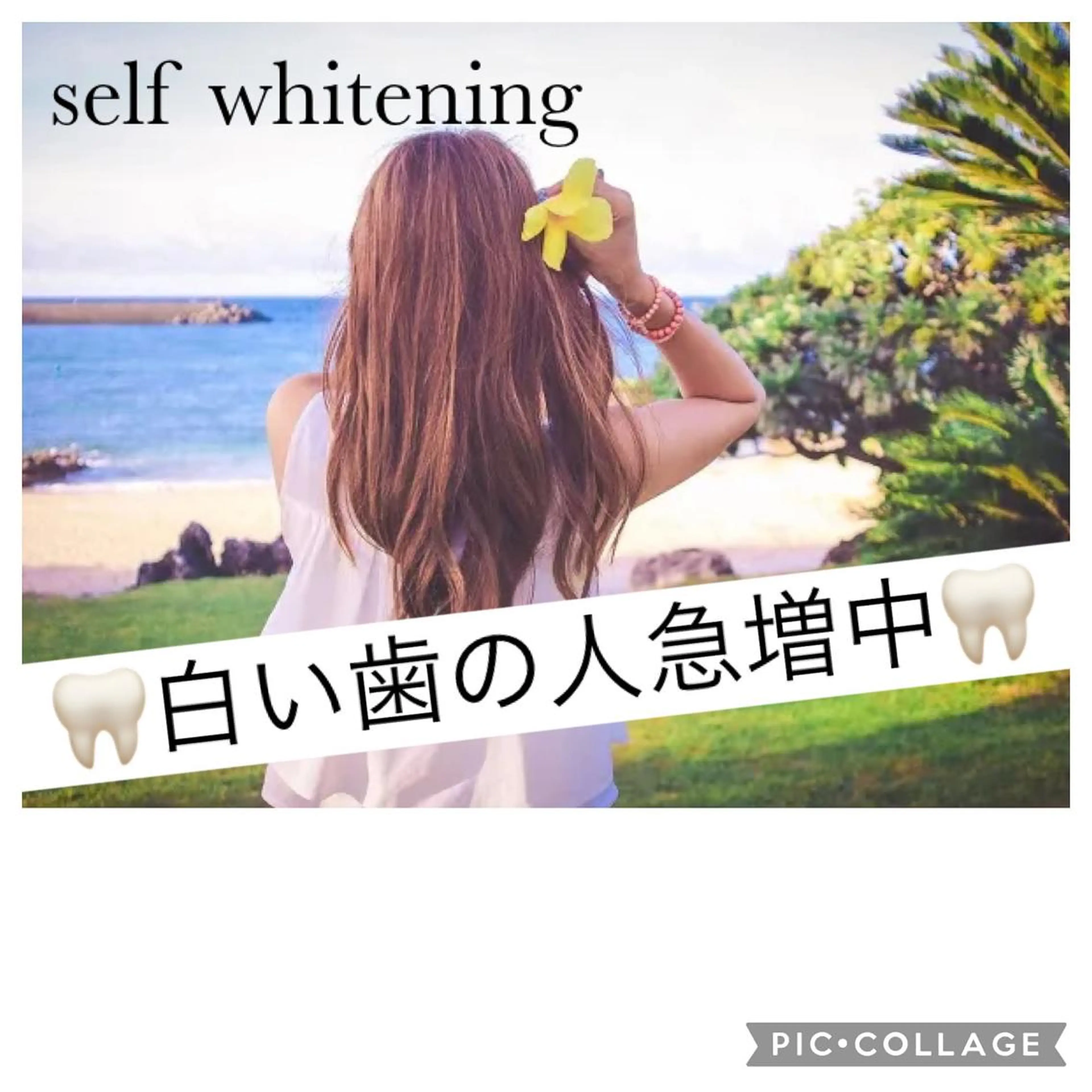 セルフホワイトニングの写真