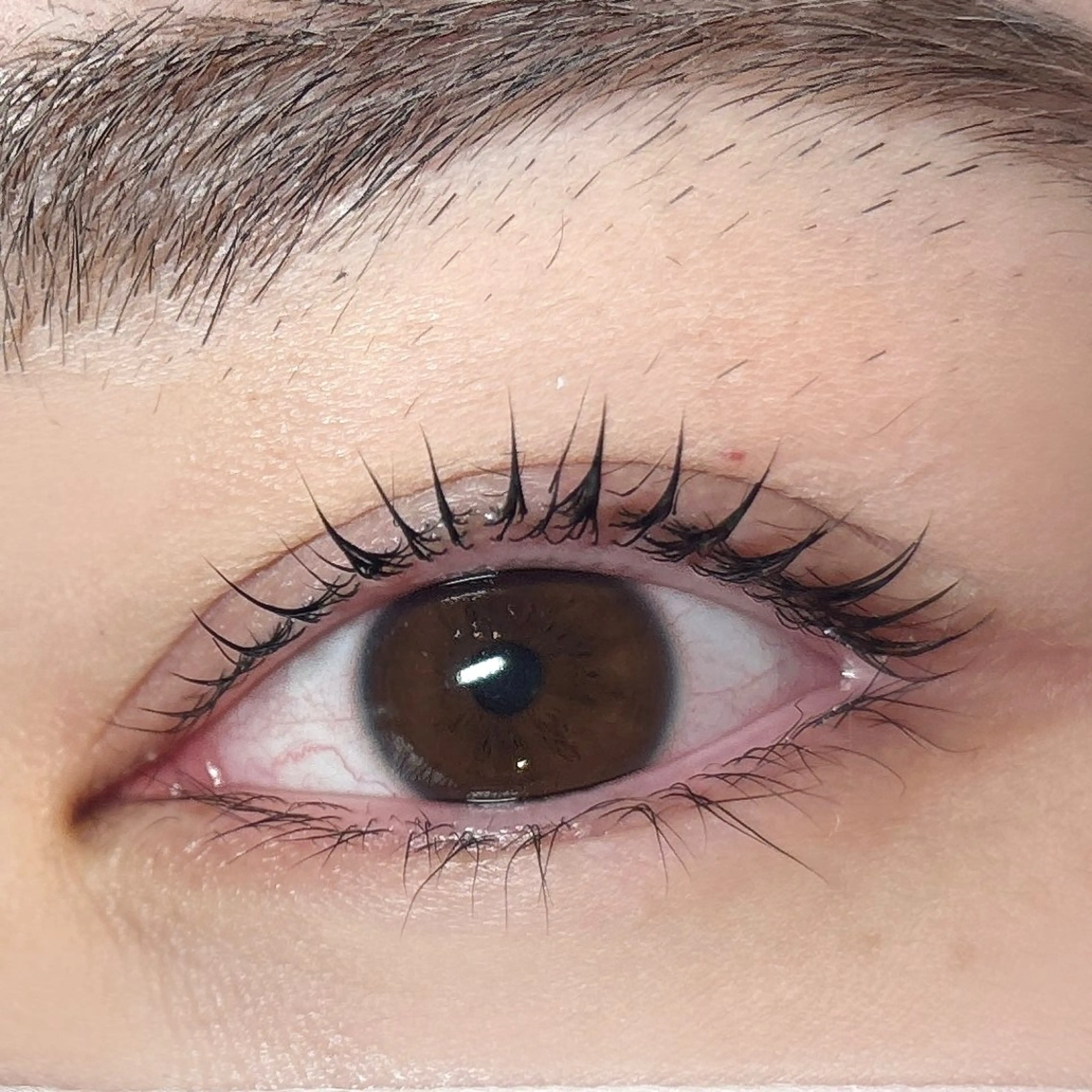 マツエク・マツパ naitre 🌼SHIORI🌼のマツエク・マツパデザイン