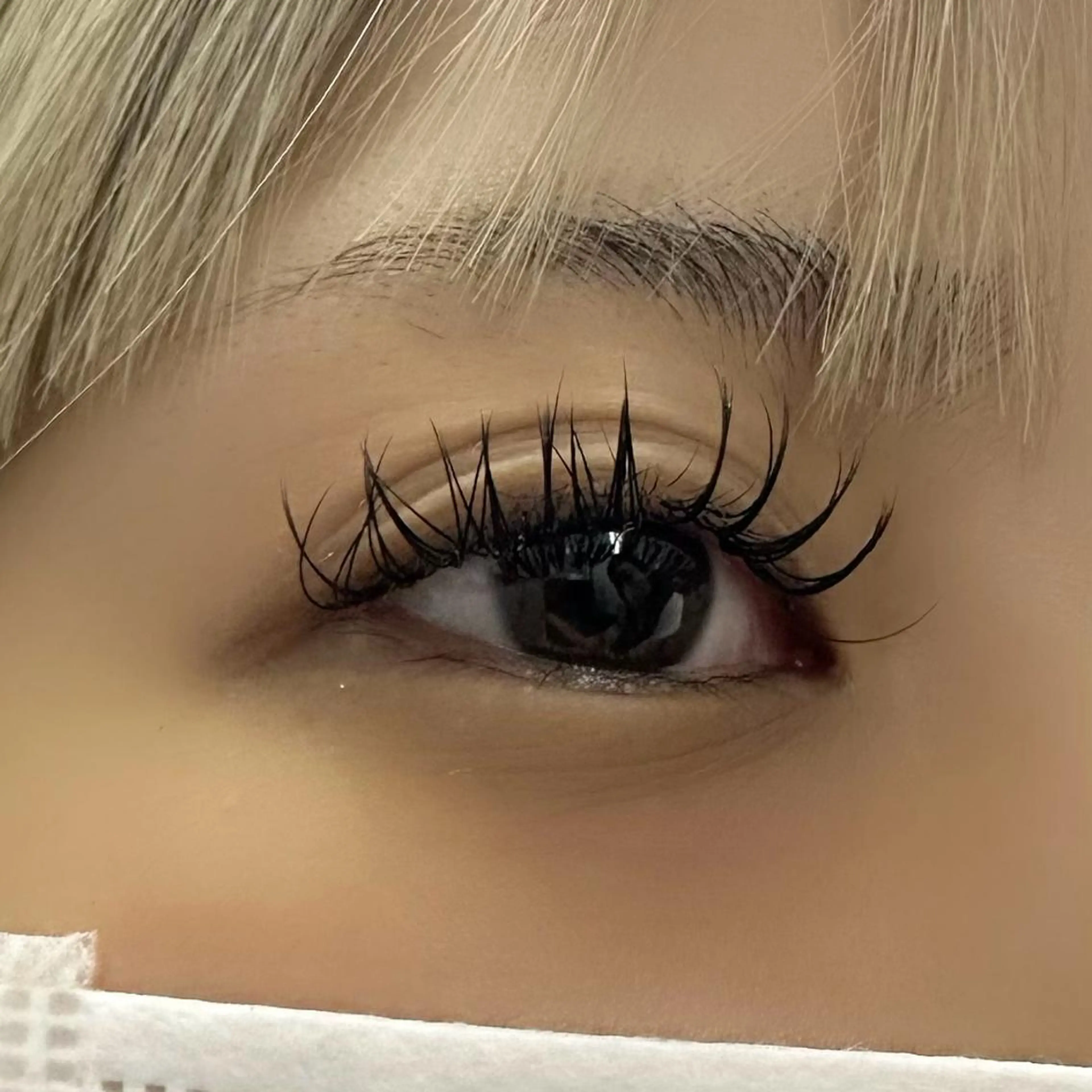 マツエク・マツパ Dカール フラットラッシュ Miyu🦄ash メンズカット/まつげのヘアスタイル