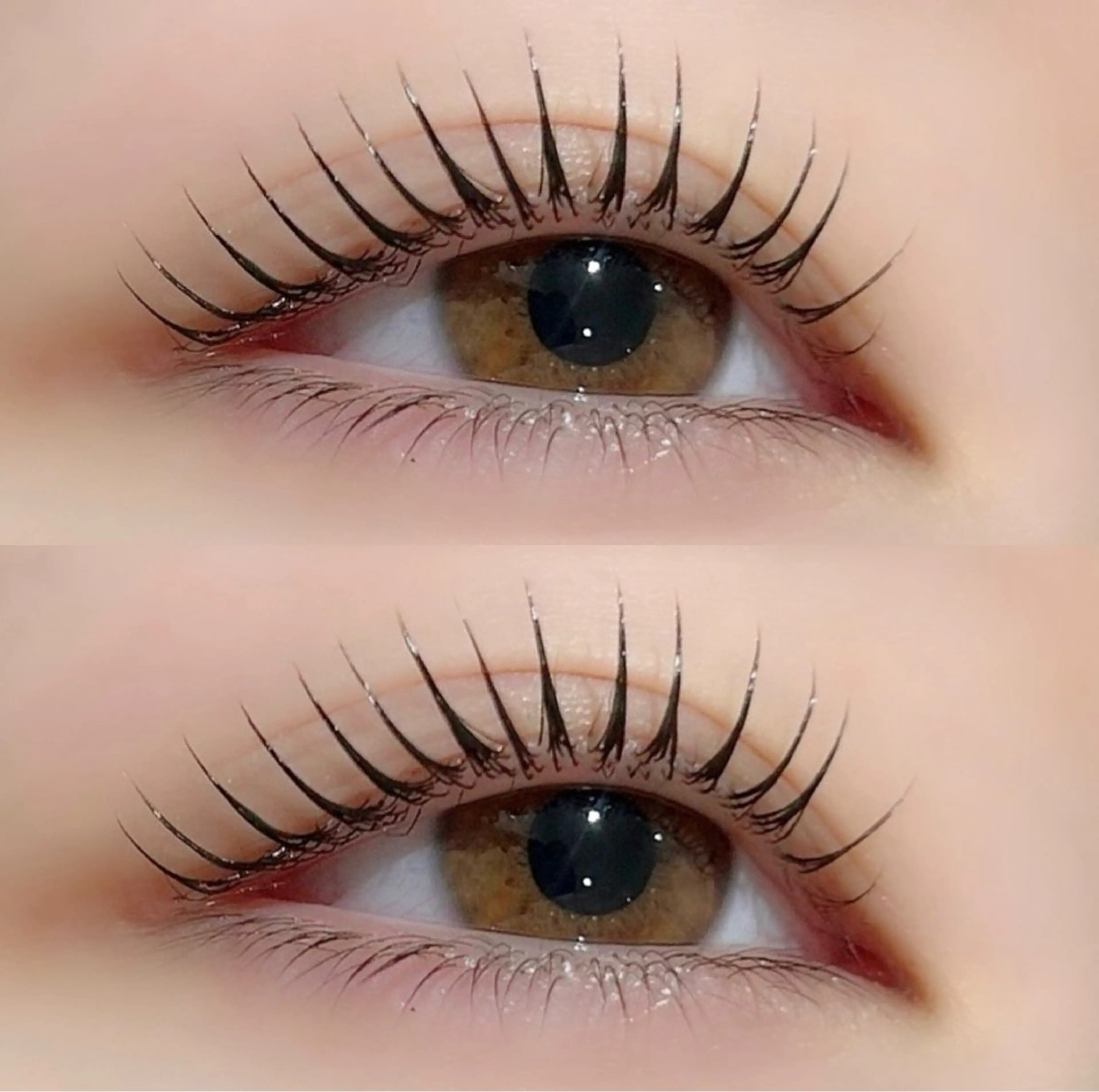 マツエク・マツパ マツパ 京橋/束感まつ毛& LED🦋藤本加奈のマツエク・マツパデザイン