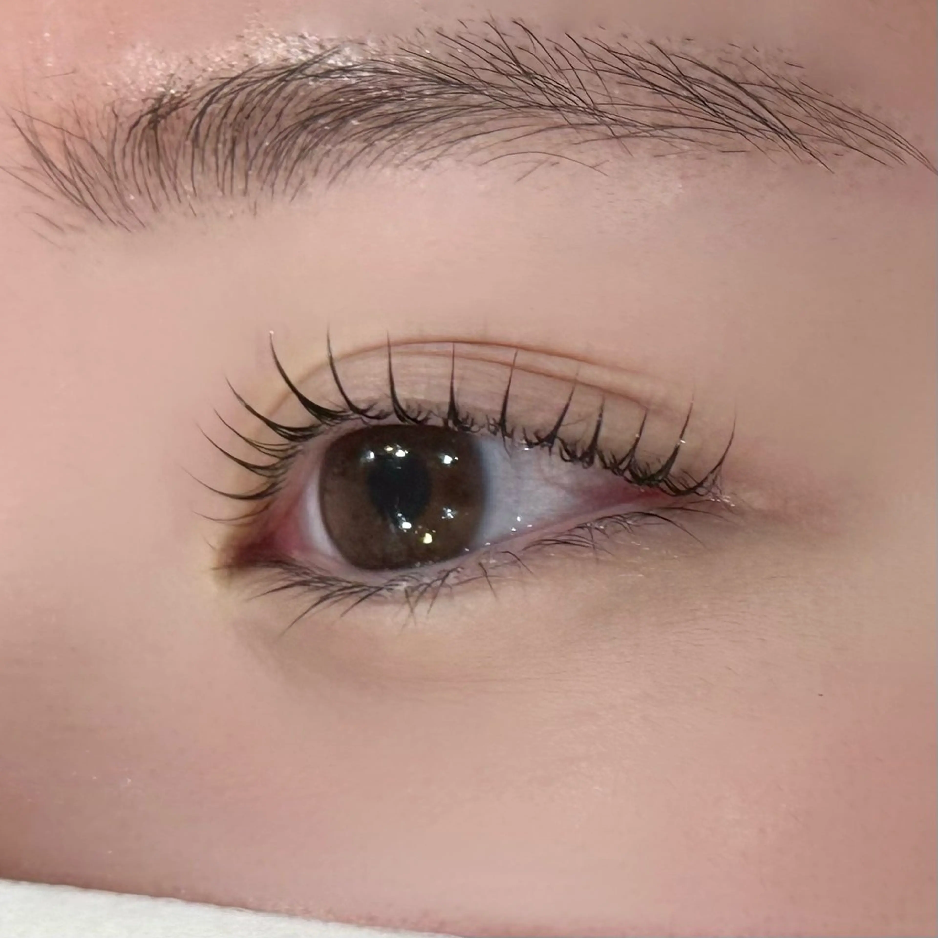 マツエク・マツパ Cカール Lカール パリジェンヌラッシュリフト 一重×まつ毛パーマ eyelash Zen　manakaのマツエク・マツパデザイン