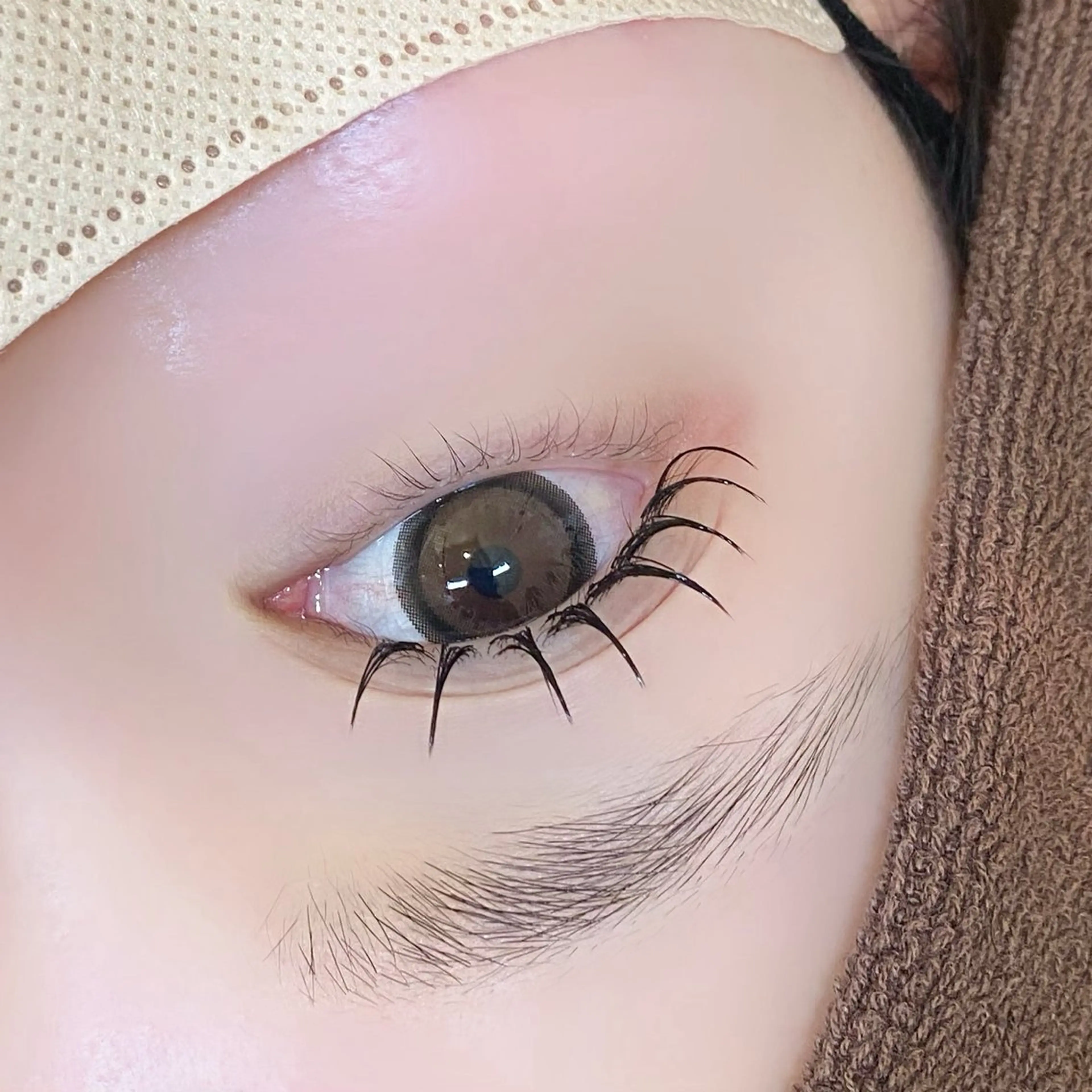 【12月限定】フラットラッシュ100​〜​120本🌻の写真