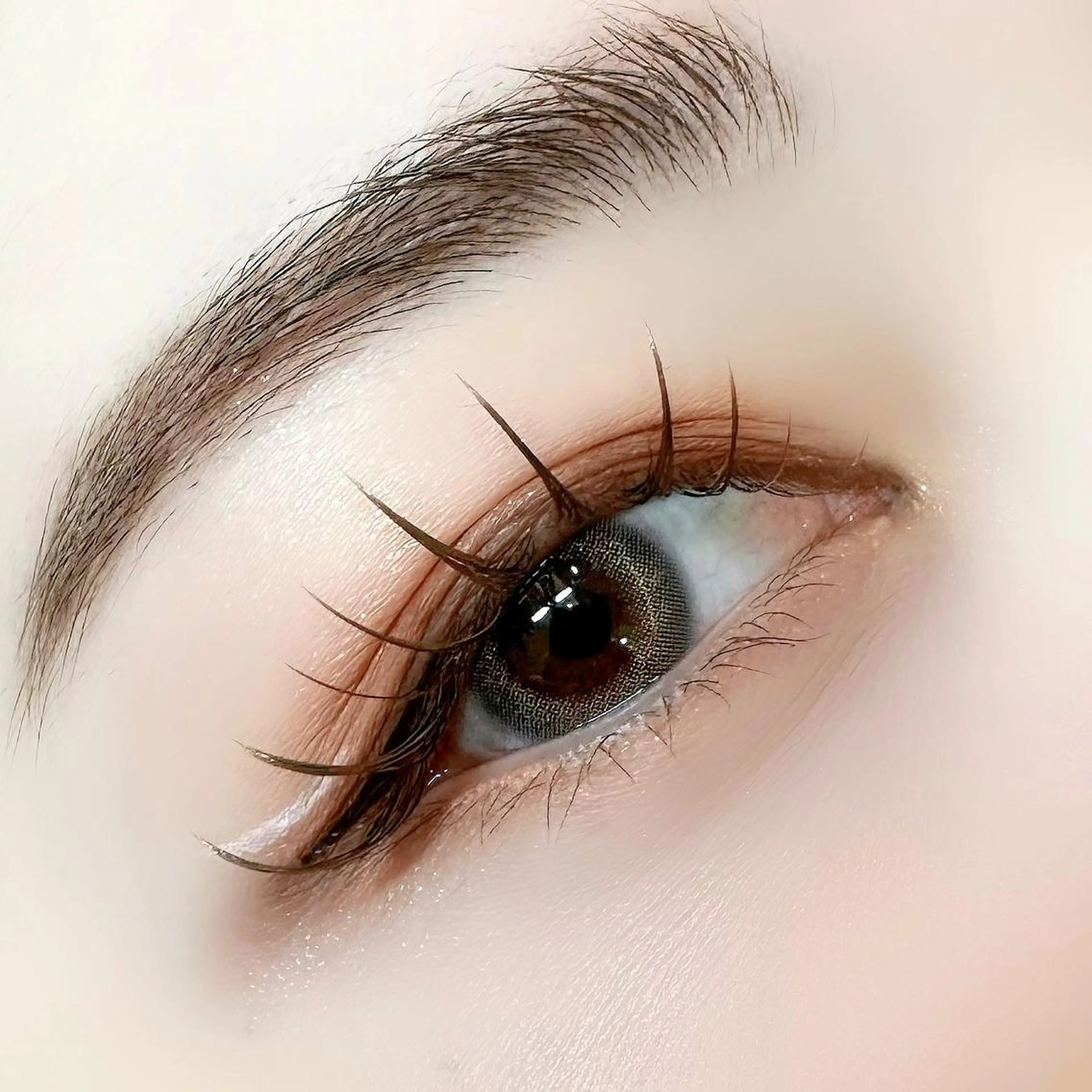 【🫧ミニモ学割U24🫧】上質フラットラッシュ120本￤何色でもOK★の写真