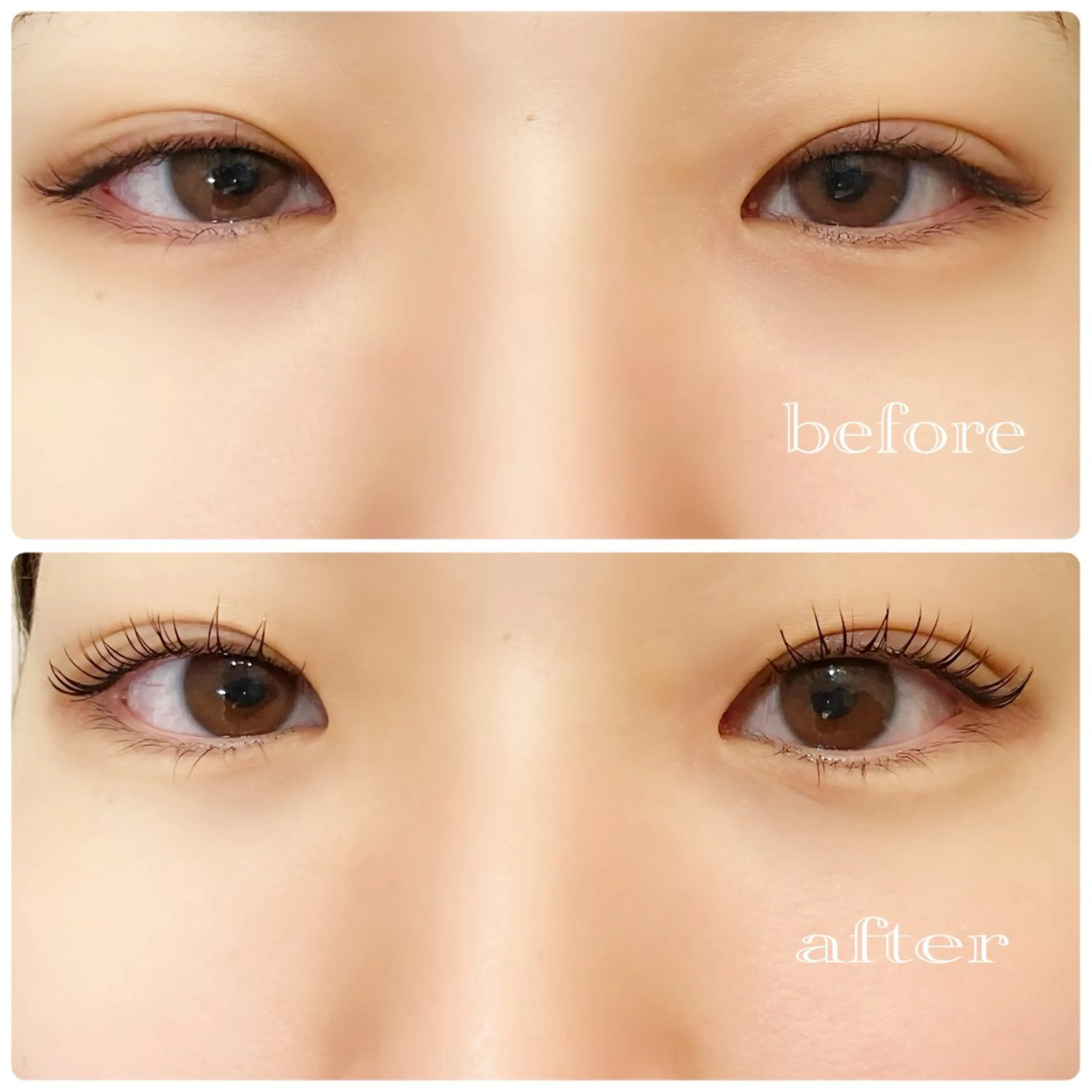 練習モデル🌟まつ毛パーマ🌟⚠️注意事項アリ⚠️の写真