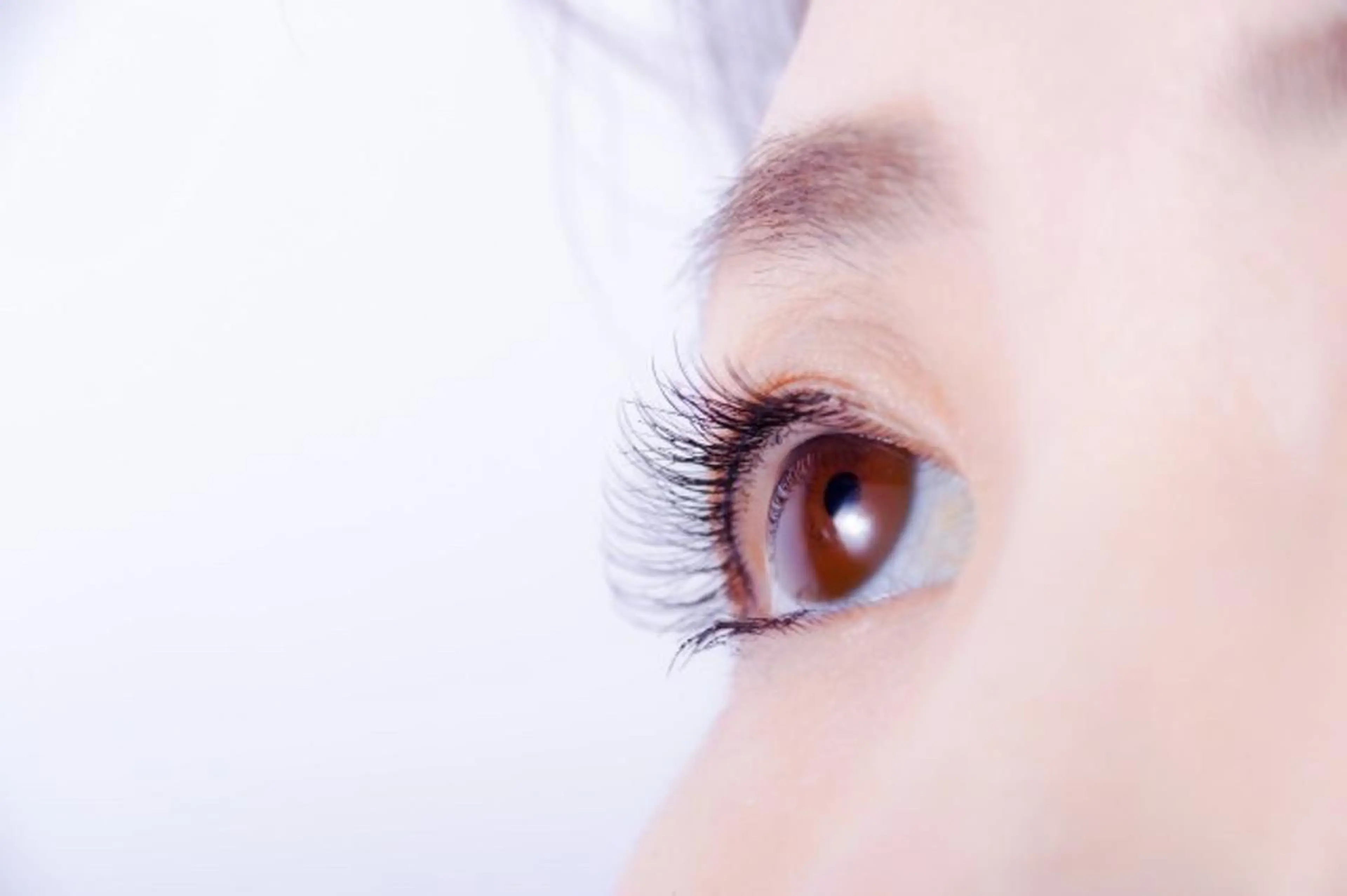 マツエク・マツパ atelier REGO 〜Hair〜所属・REGO Hair &eye salonのマツエク・マツパデザイン