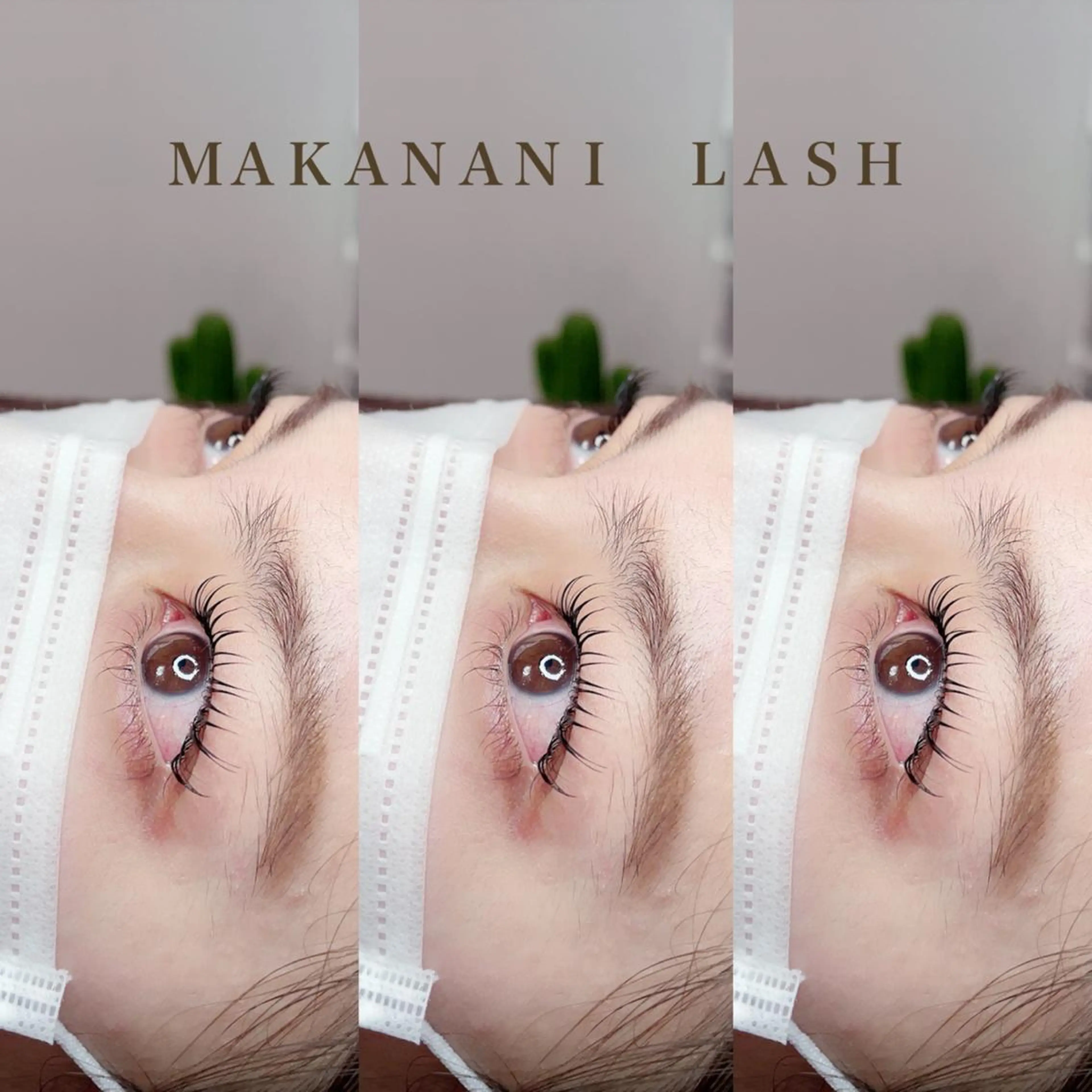 マツエク・マツパ Cカール 塩見 渚のマツエク・マツパデザイン